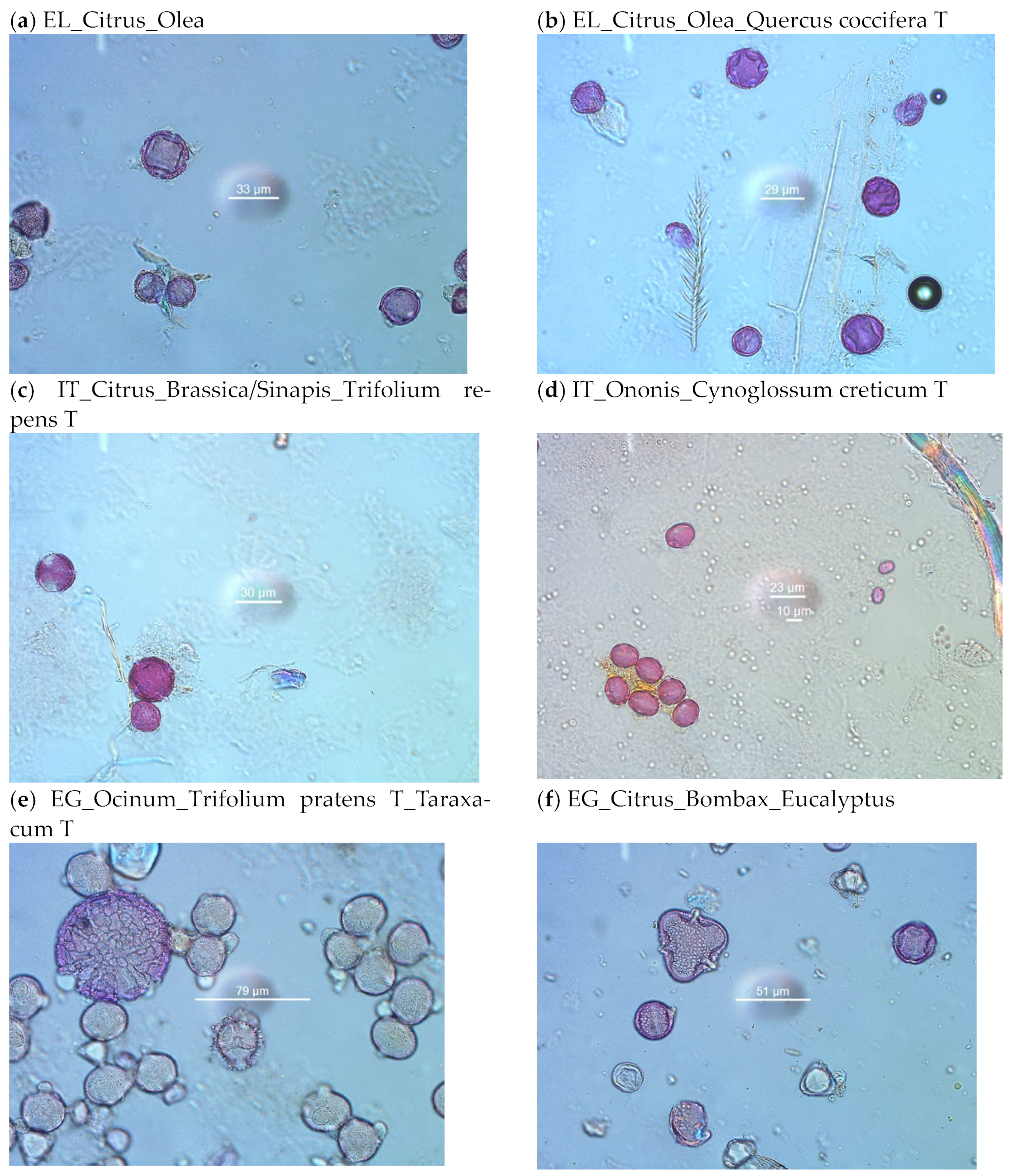 Molecules 28 03967 g009