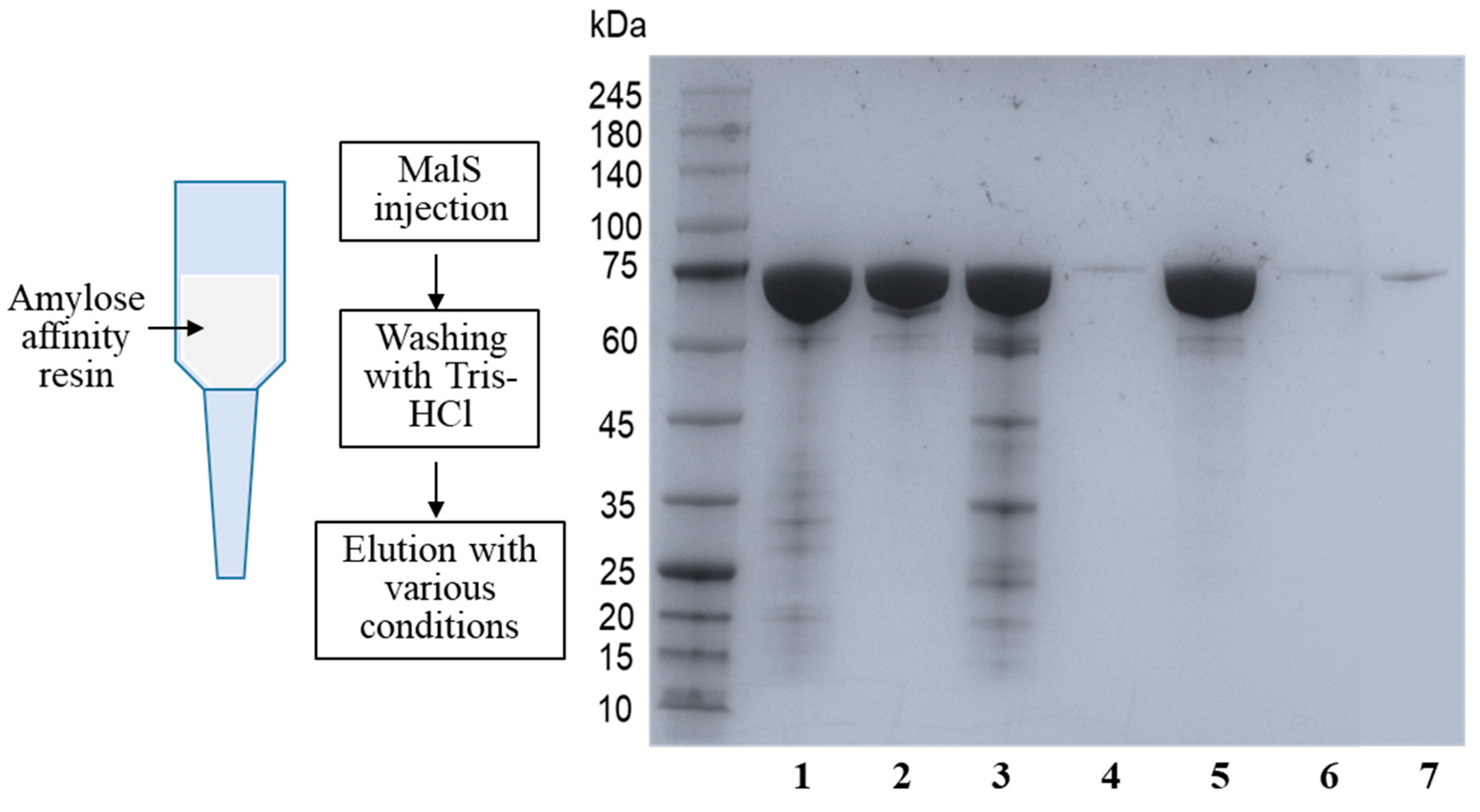 Molecules 28 03972 g002