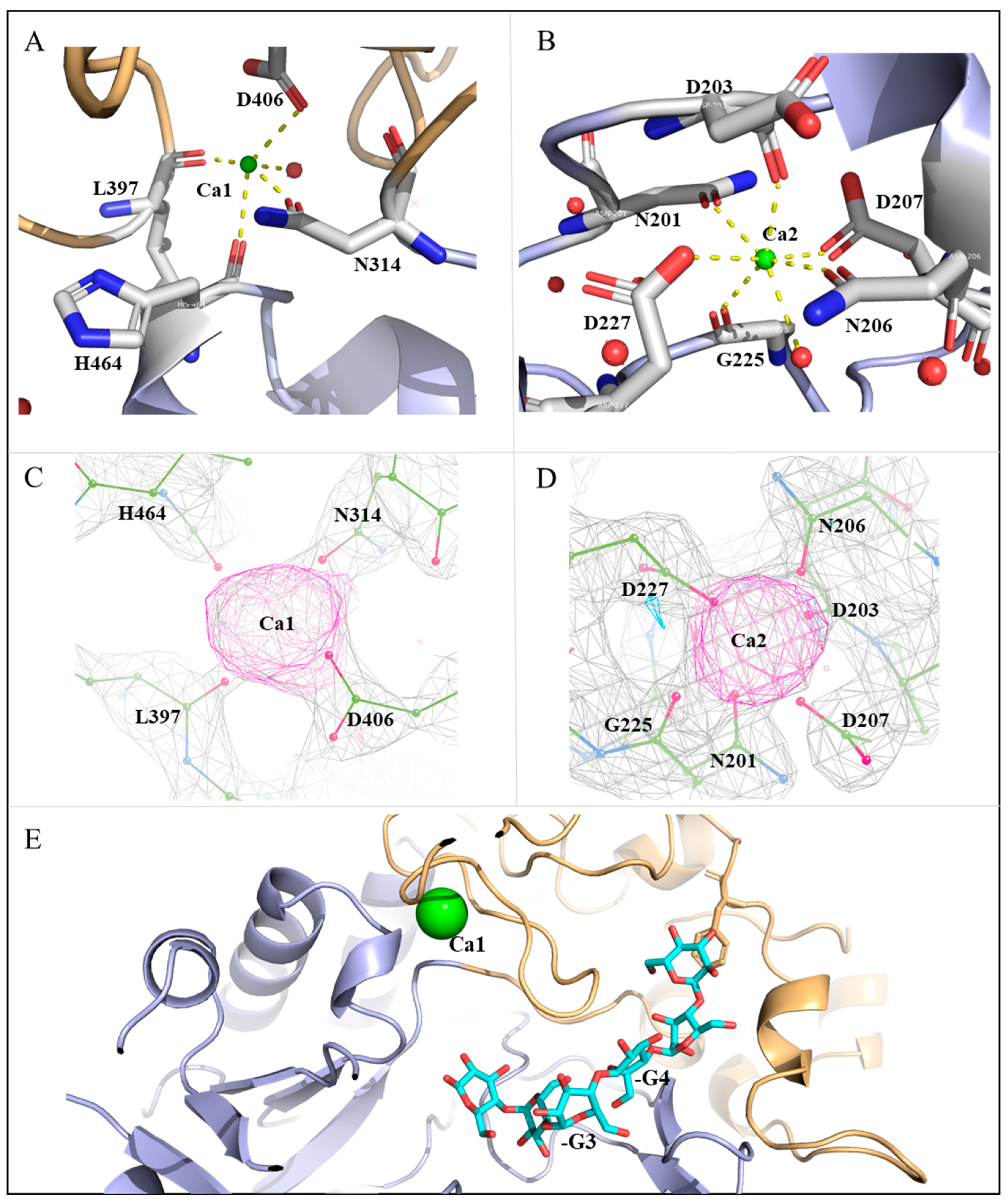 Molecules 28 03972 g004