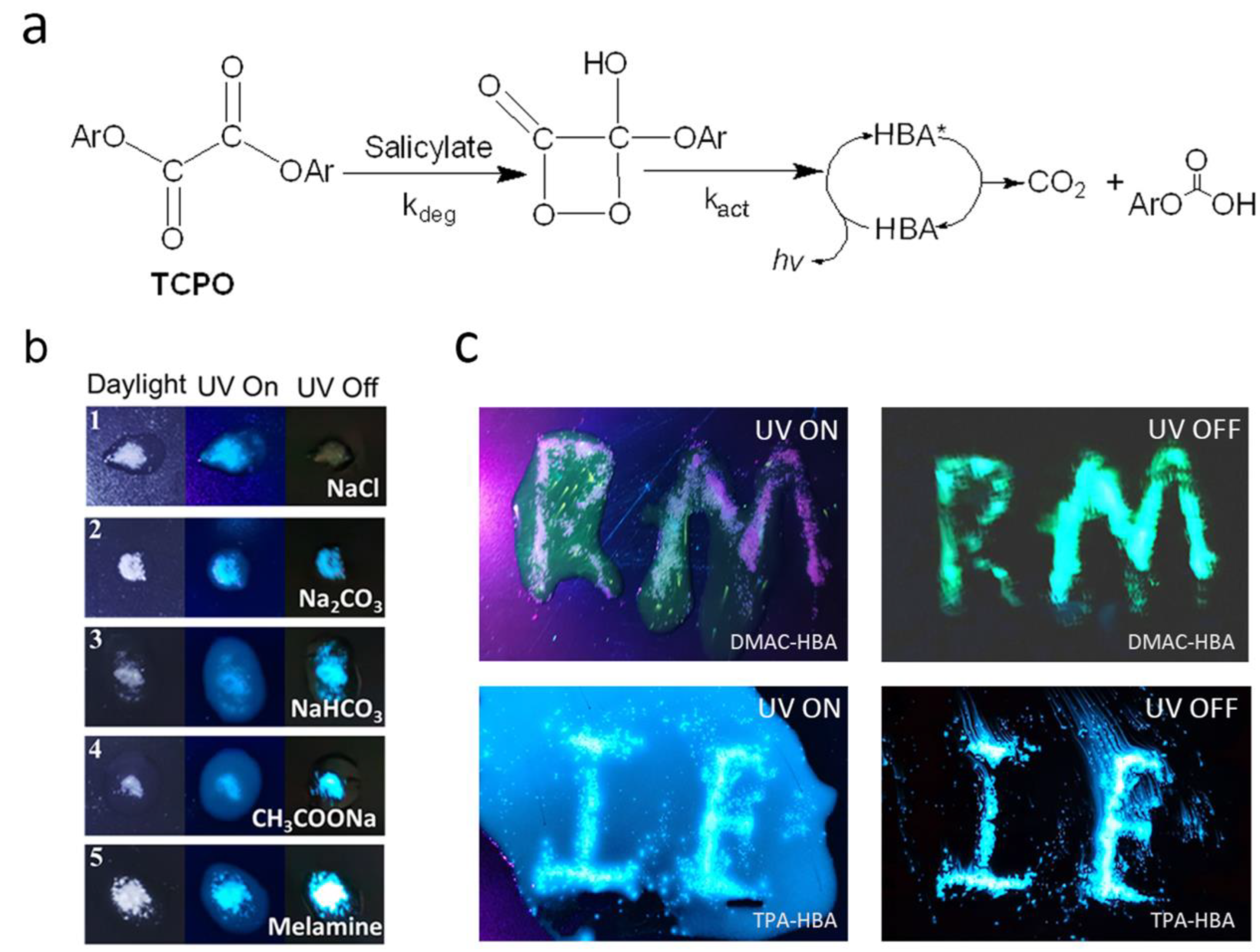 Molecules 28 03976 g004