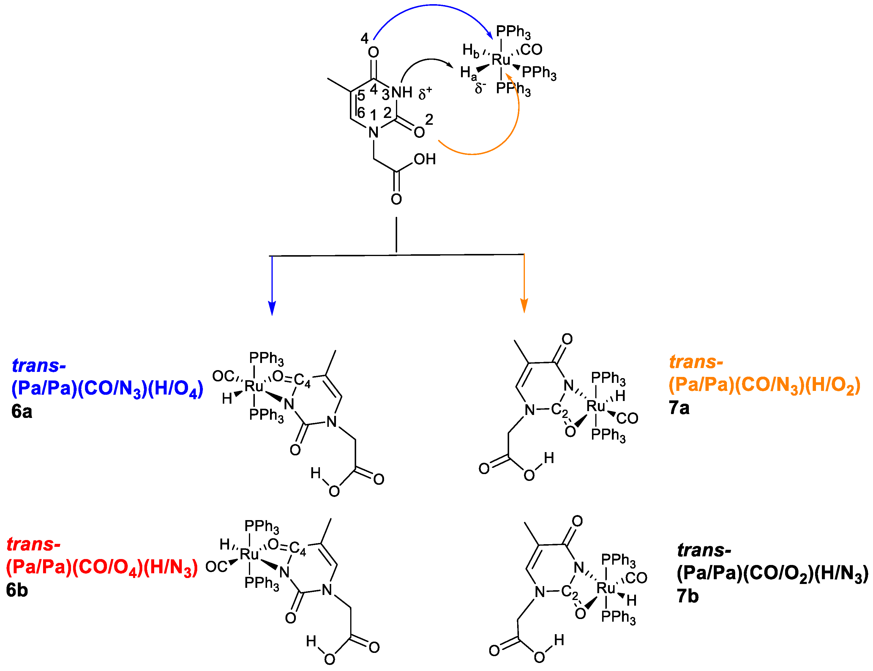 Molecules 28 03983 sch001 Molecules 28 03983 sch001