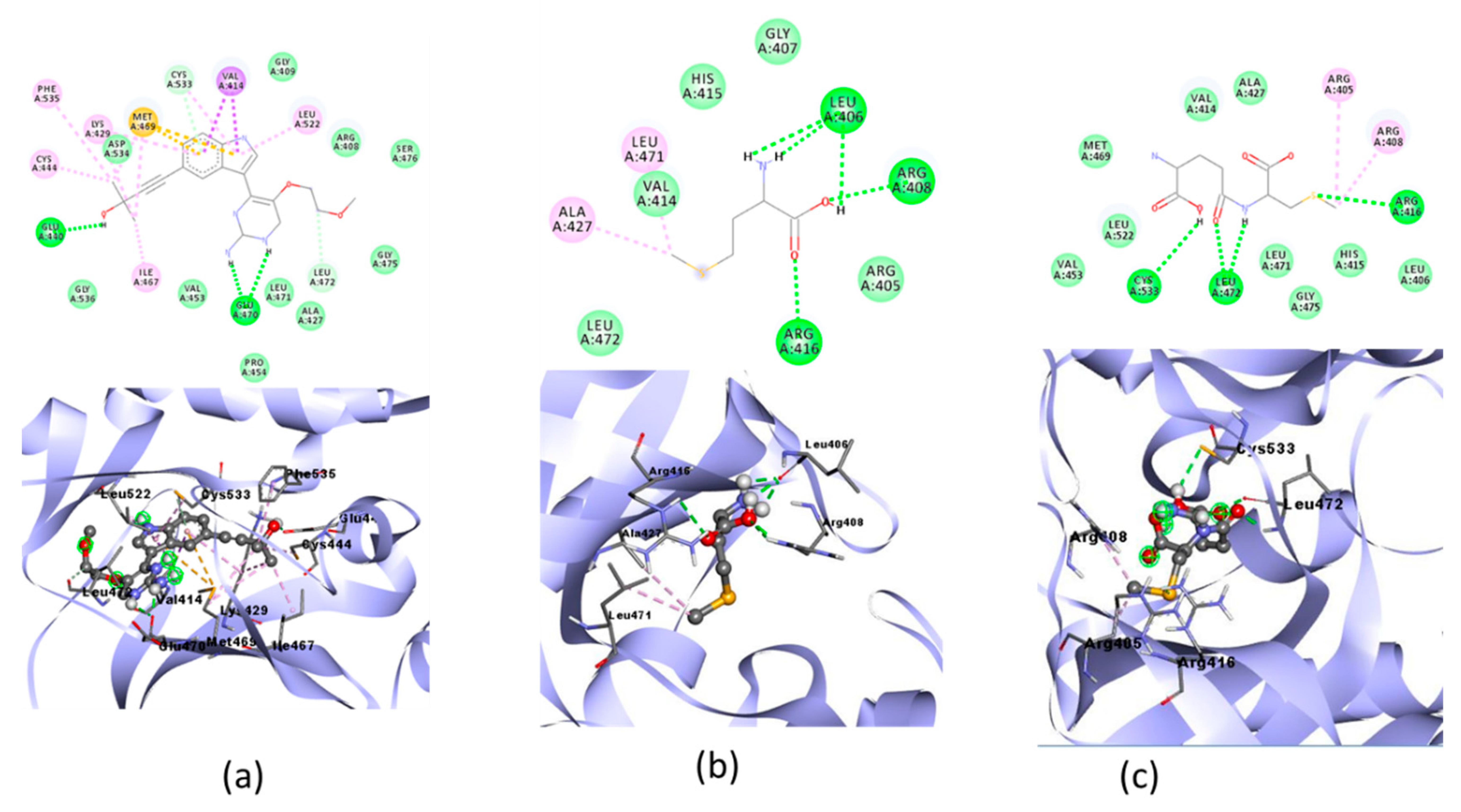 Molecules 28 03984 g007