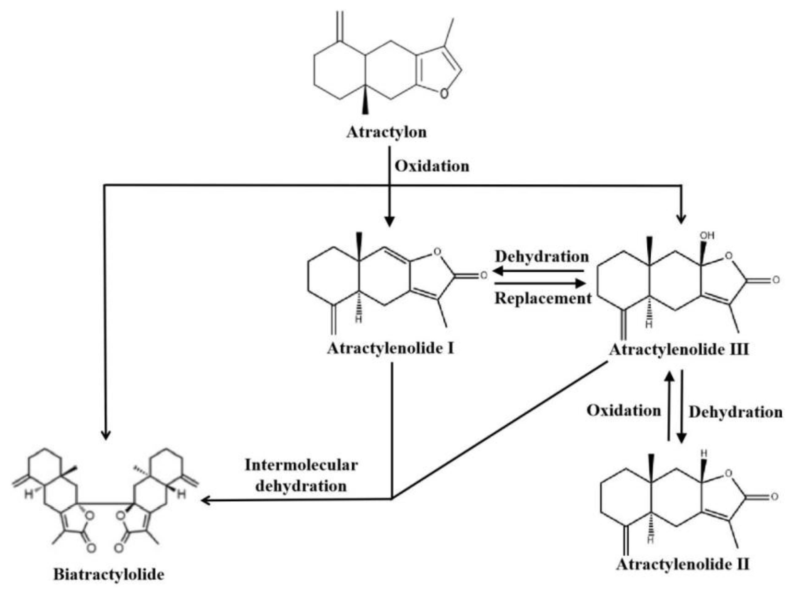 dai Simultaneous Analysis of Hydrophobic Atractylenolides