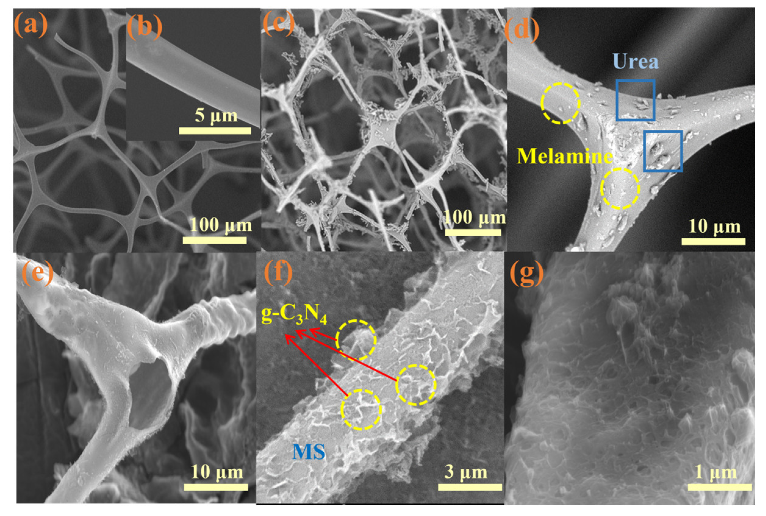 Molecules 28 03989 g002 Molecules 28 03989 g002