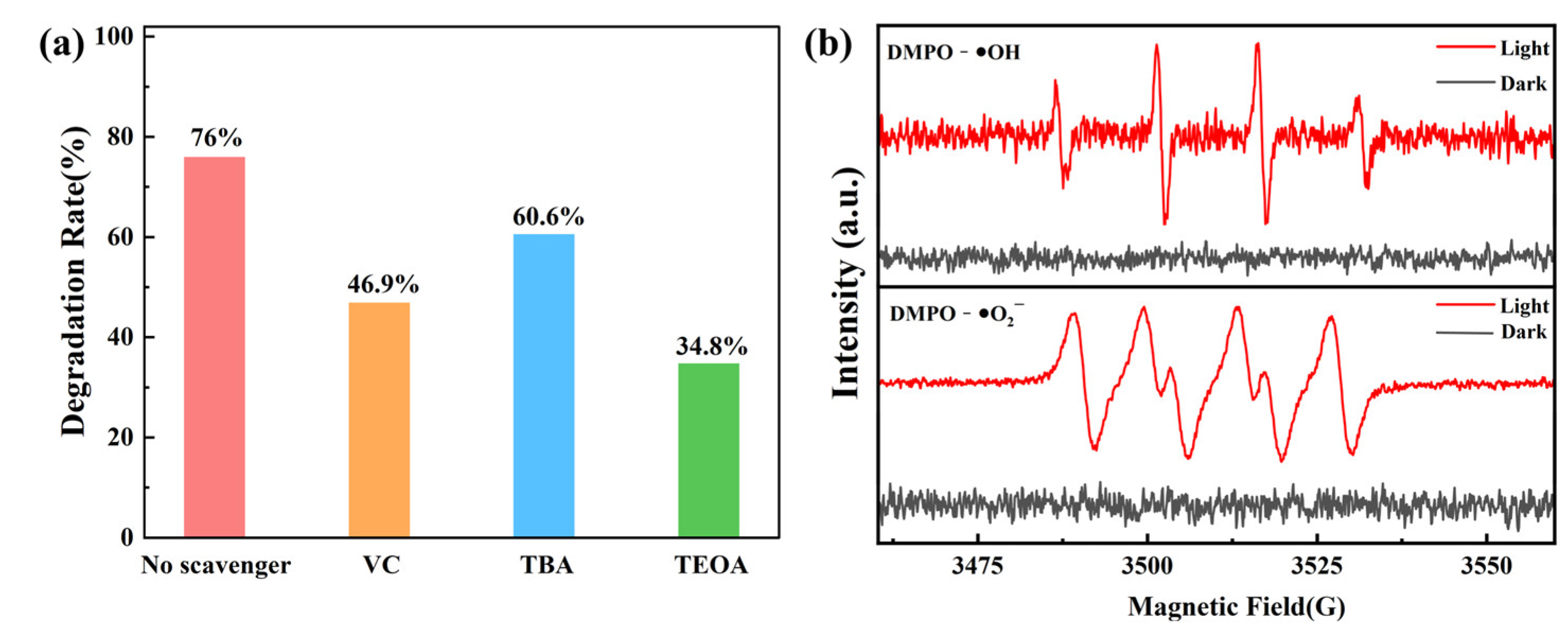 Molecules 28 03989 g008 Molecules 28 03989 g008