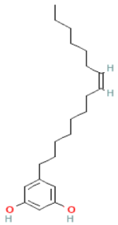 Molecules 28 03993 i036 Molecules 28 03993 i036