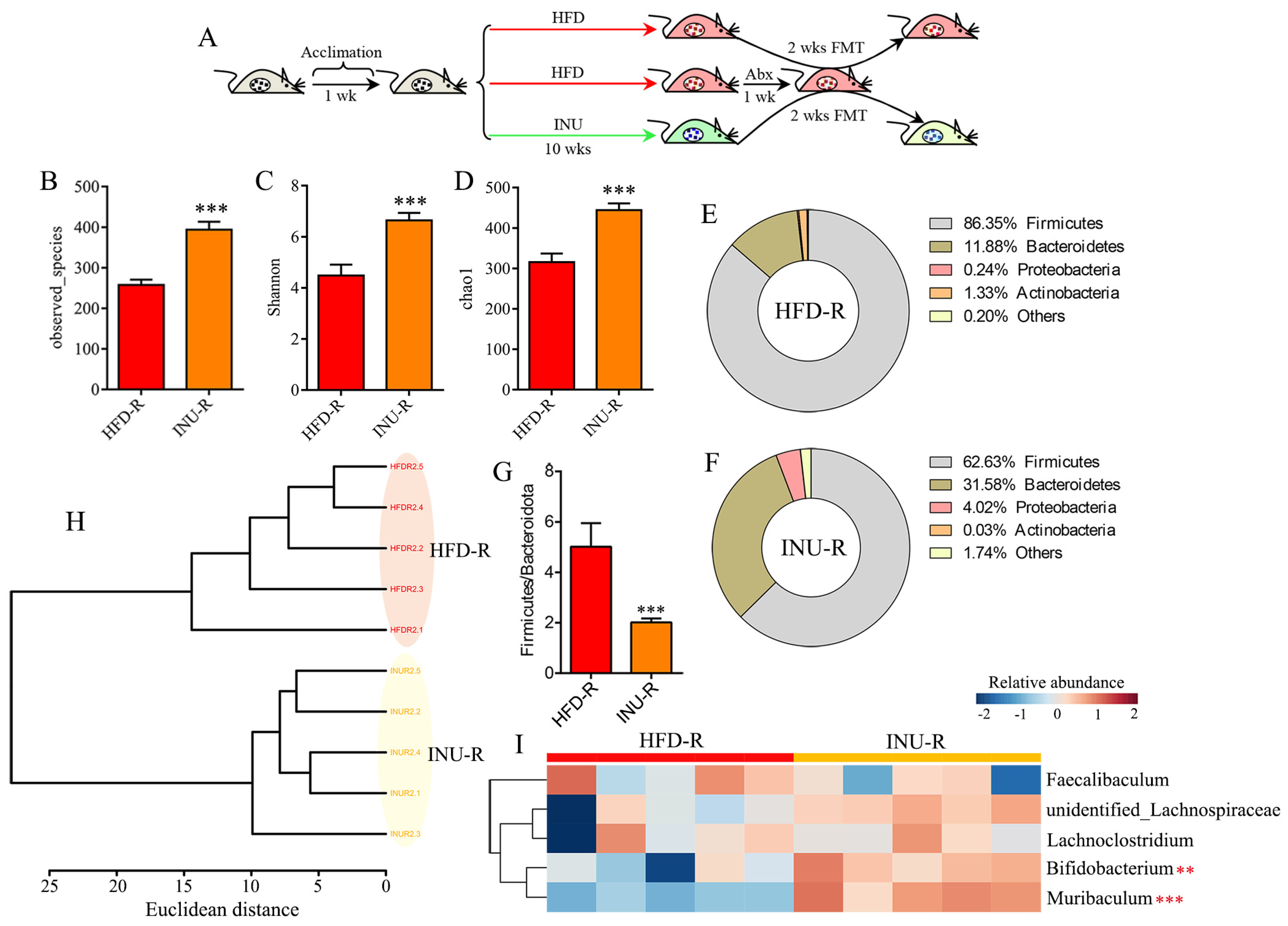 Molecules 28 03997 g005 Molecules 28 03997 g005