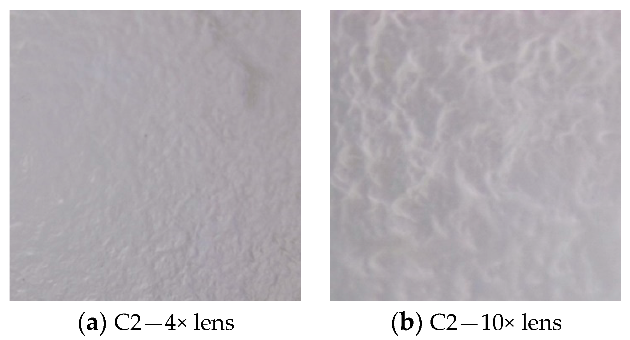 Molecules 28 04002 g001