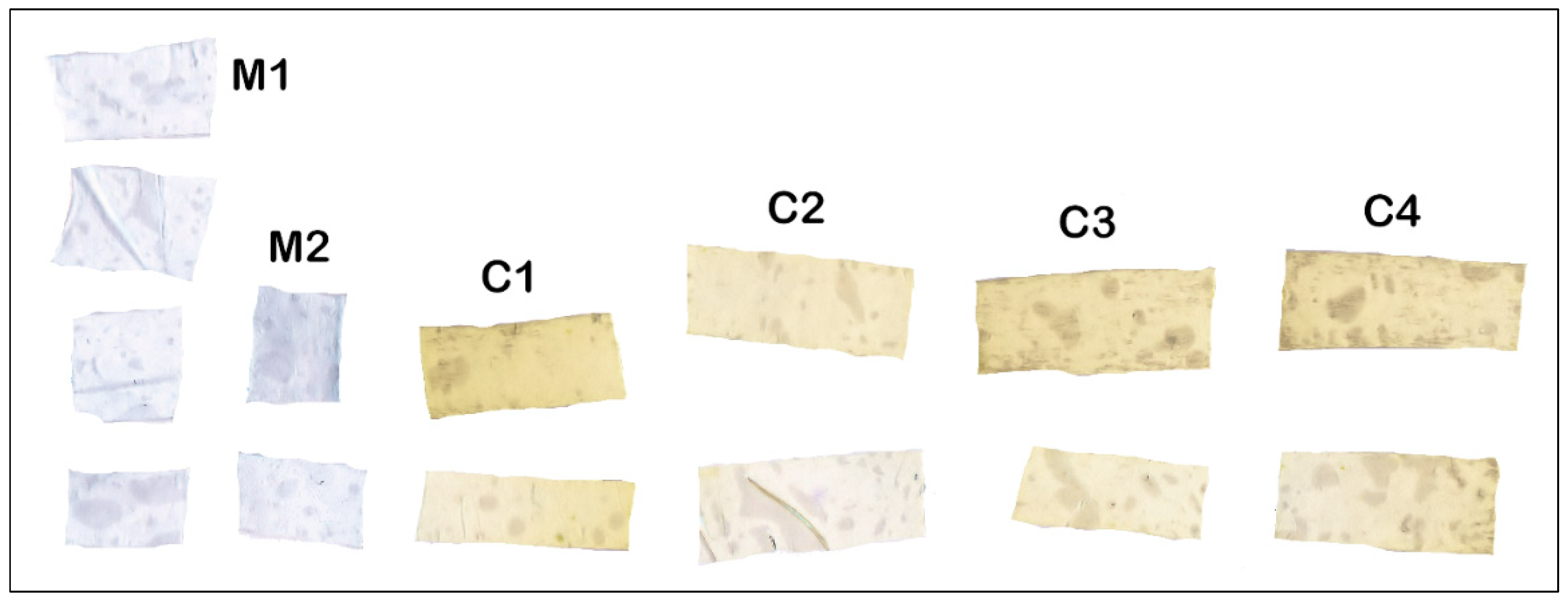 Molecules 28 04002 g002