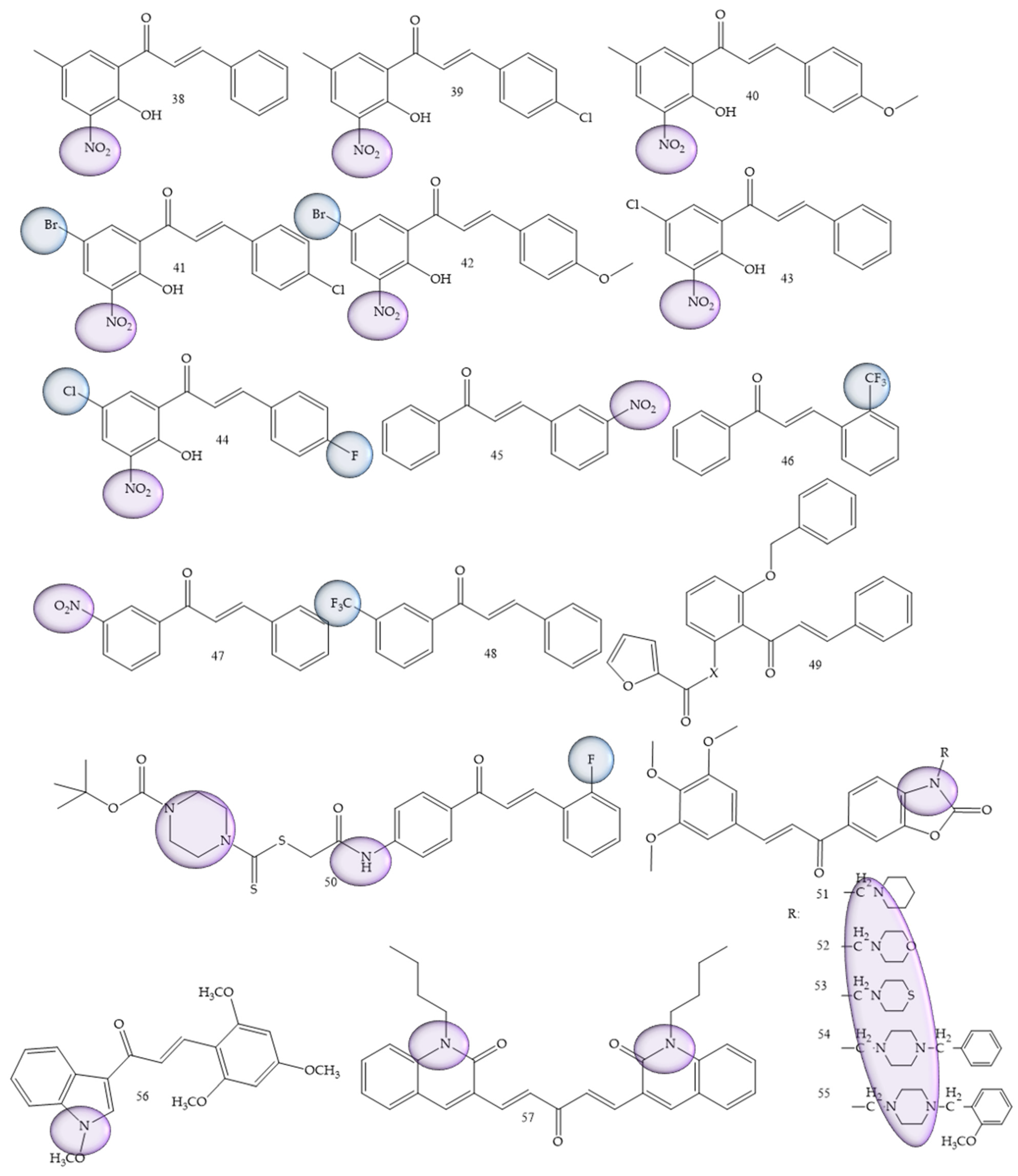 Molecules 28 04009 g009 Molecules 28 04009 g009
