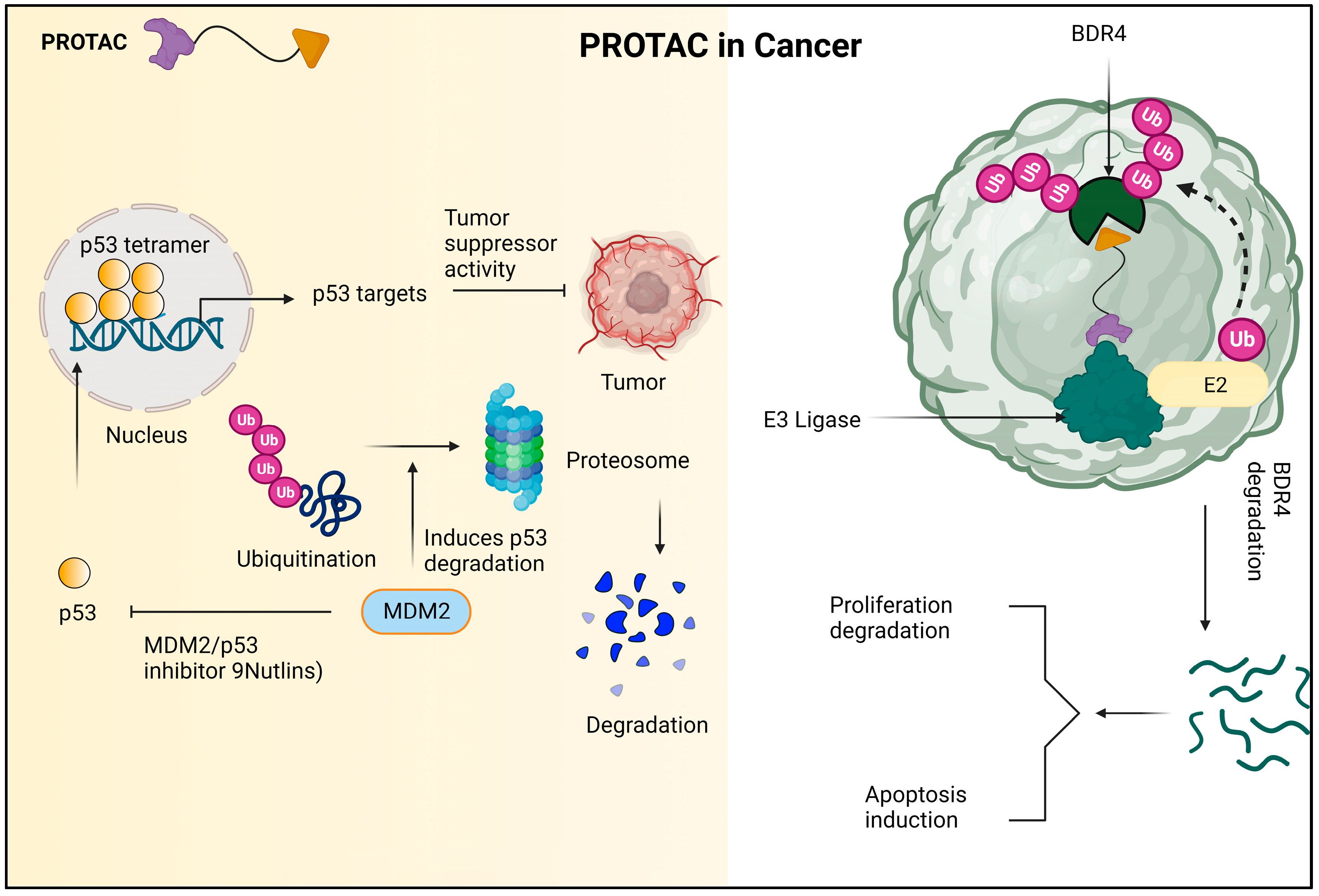 Molecules 28 04014 g009 Molecules 28 04014 g009