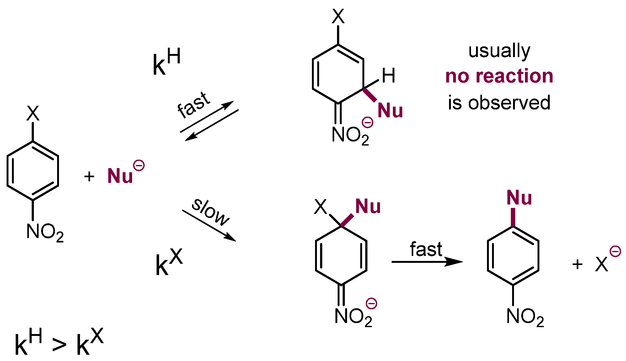 Molecules 28 04015 sch002
