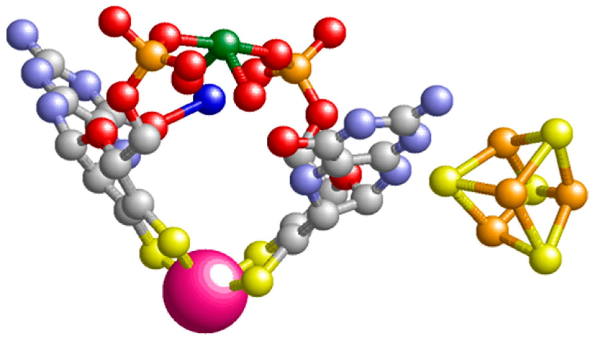 Molecules 28 04017 g004