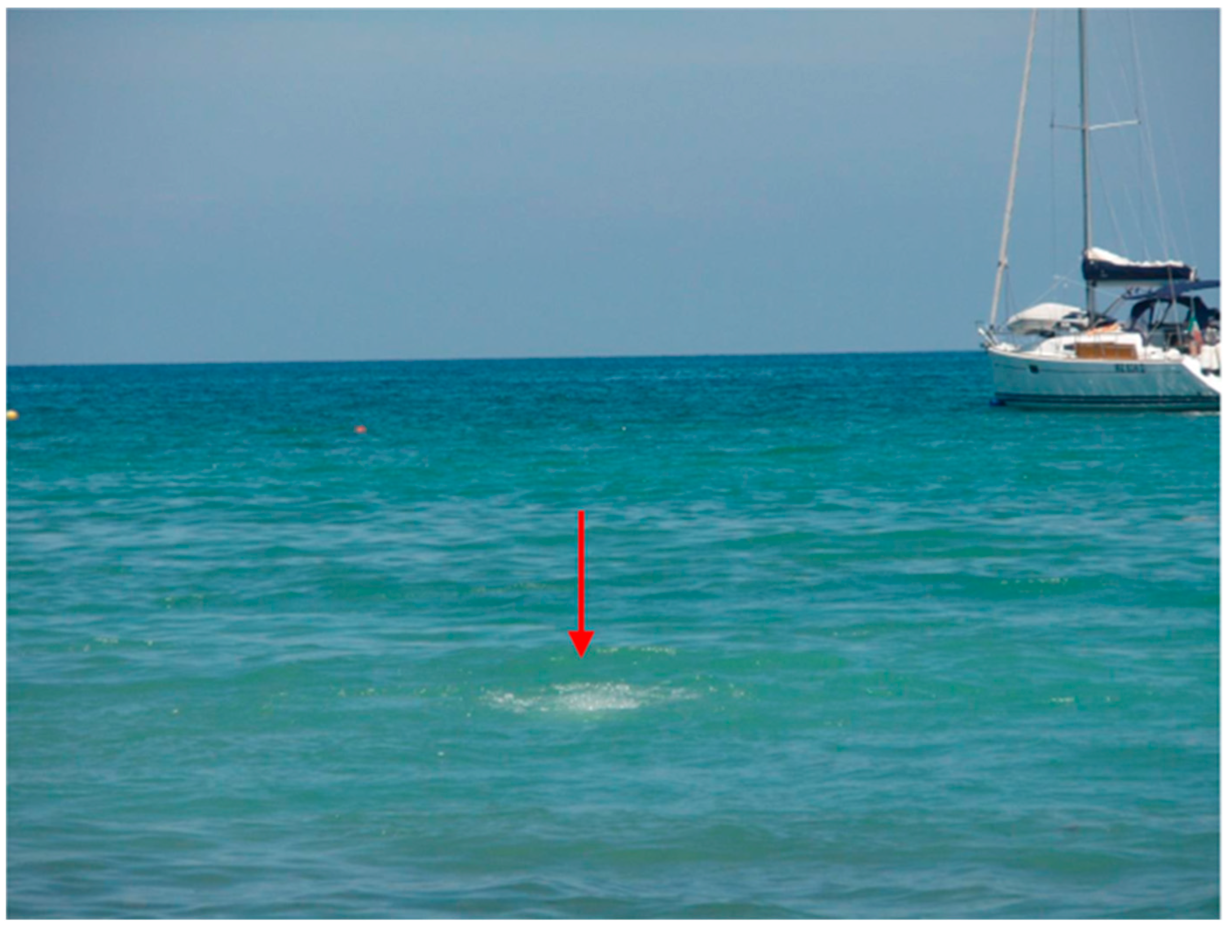 Molecules 28 04017 g007