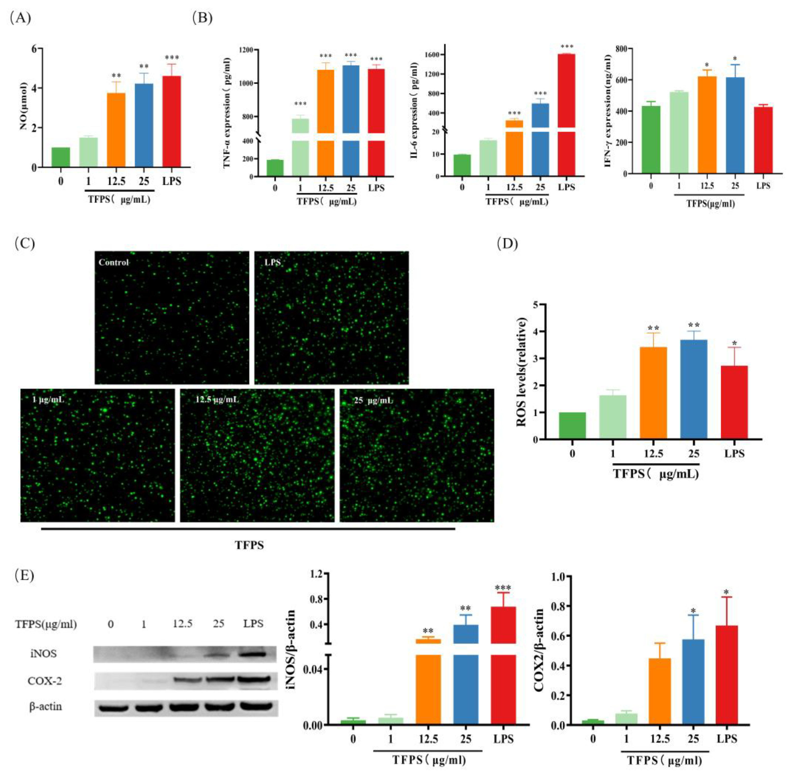 Molecules 28 04018 g005