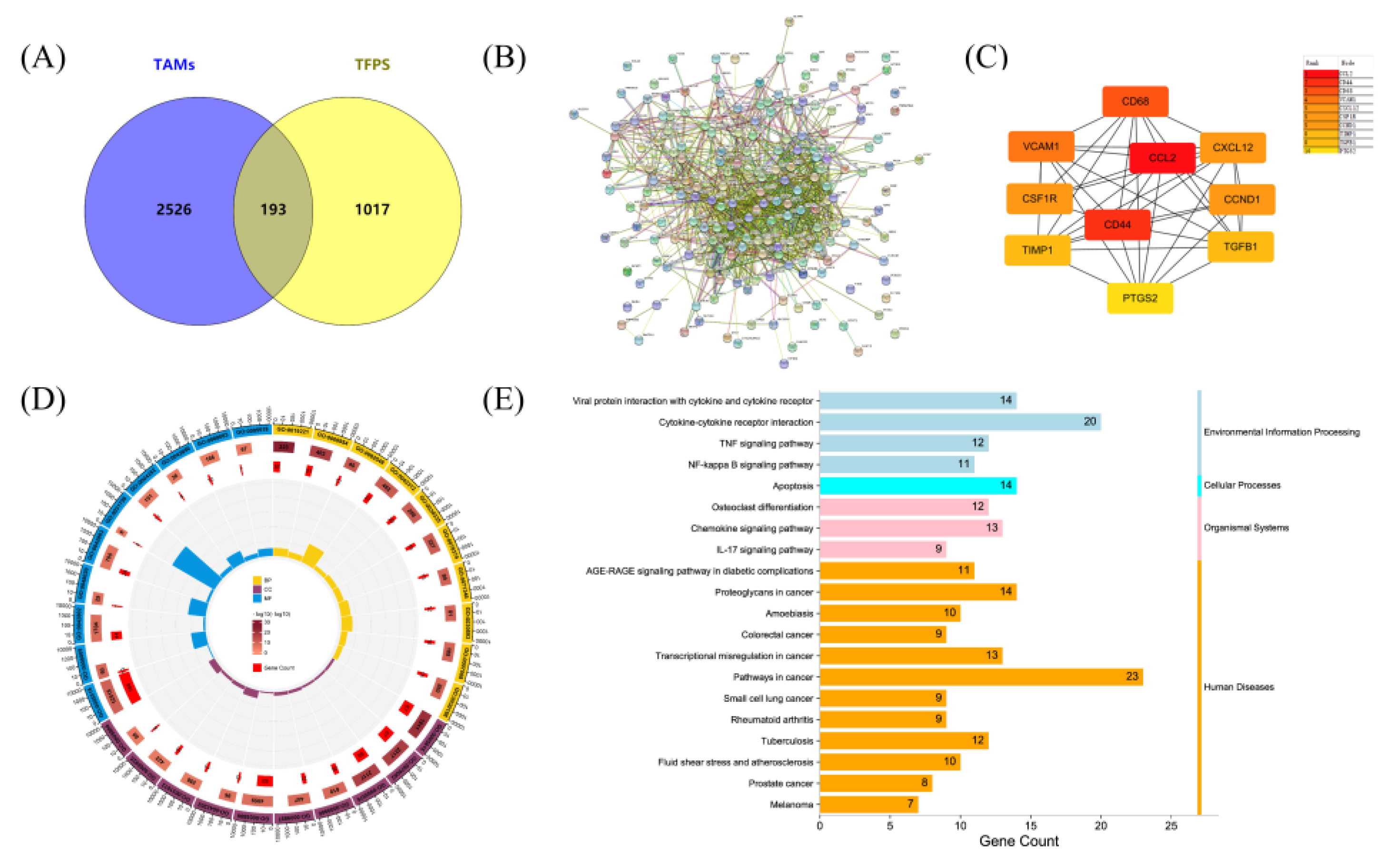 Molecules 28 04018 g006
