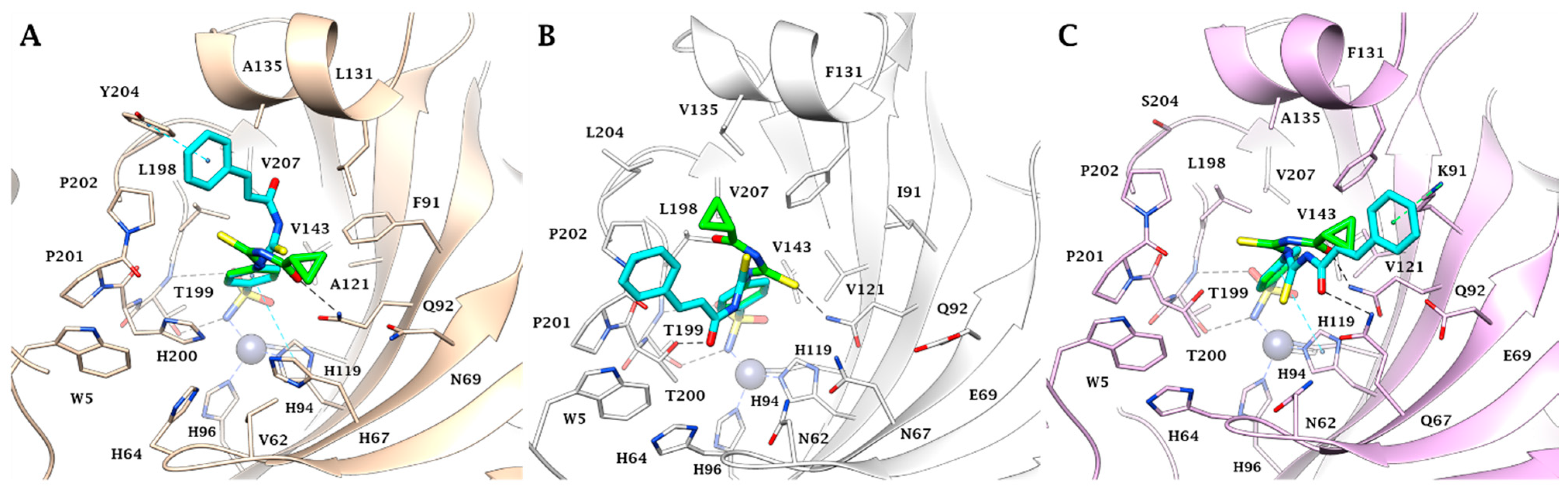 Molecules 28 04020 g002 Molecules 28 04020 g002