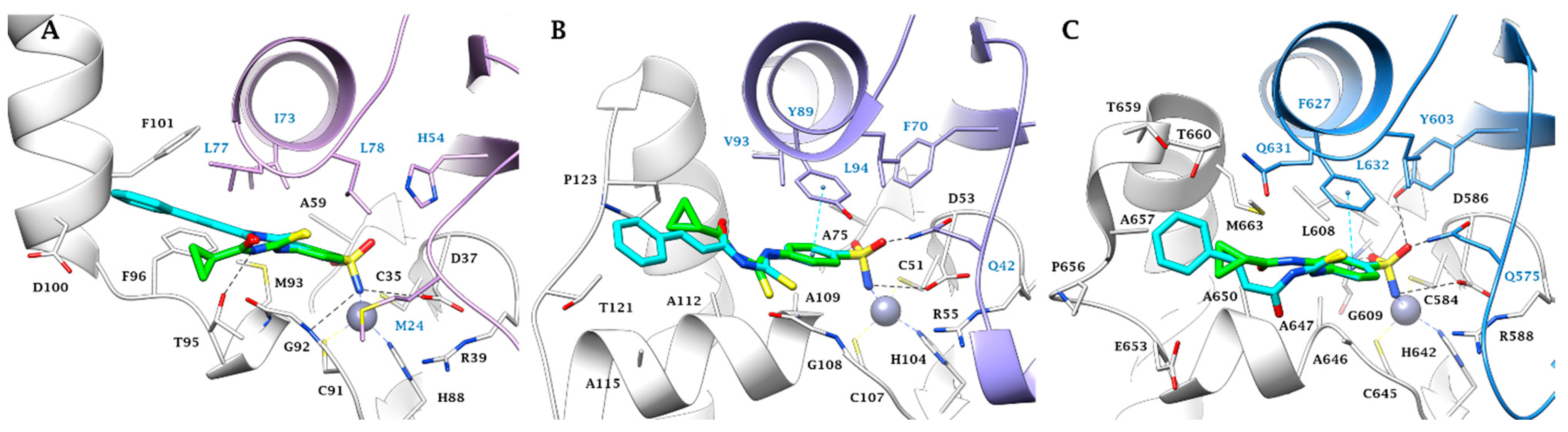 Molecules 28 04020 g003 Molecules 28 04020 g003