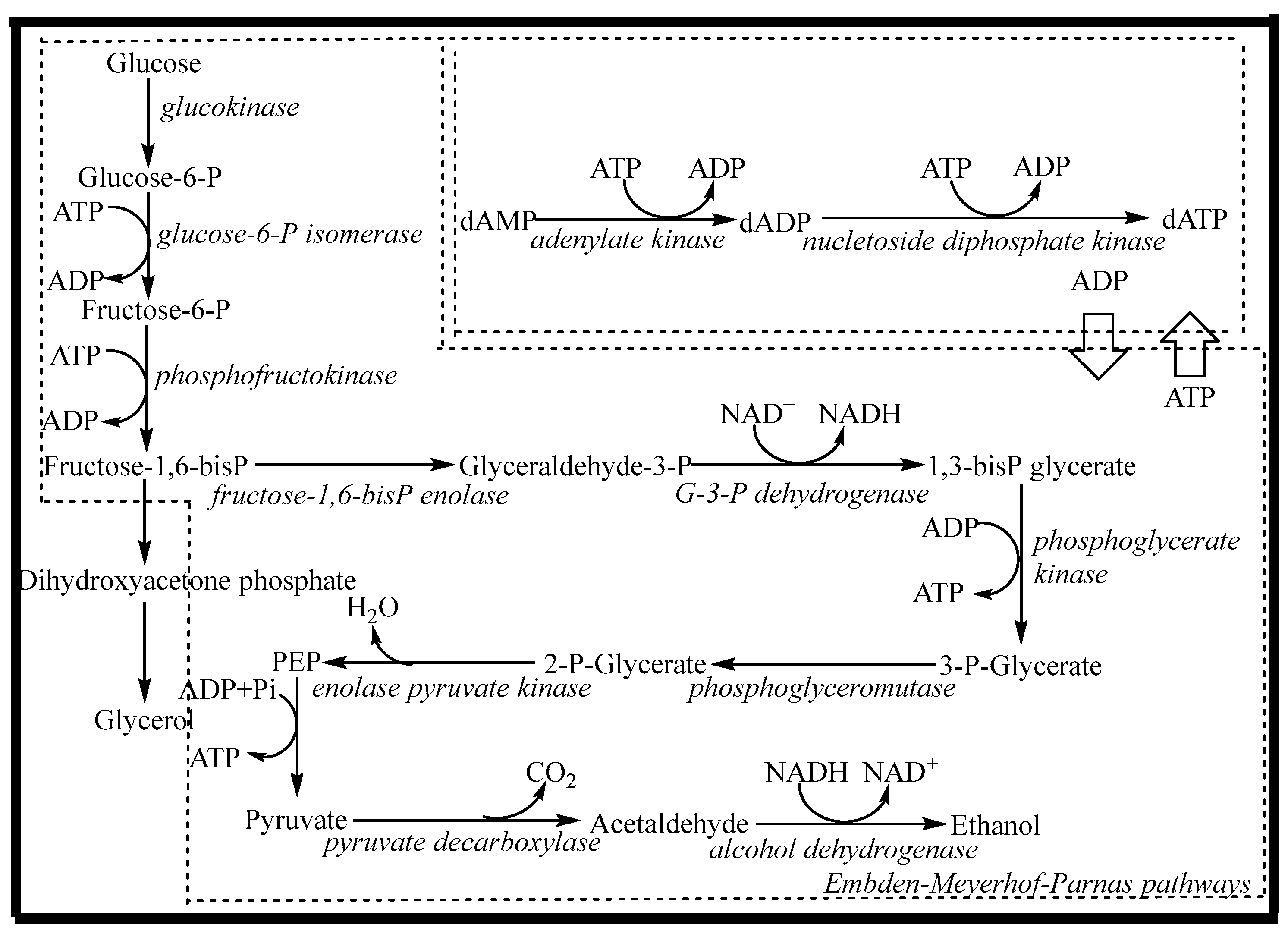 Molecules 28 04029 g001 Molecules 28 04029 g001