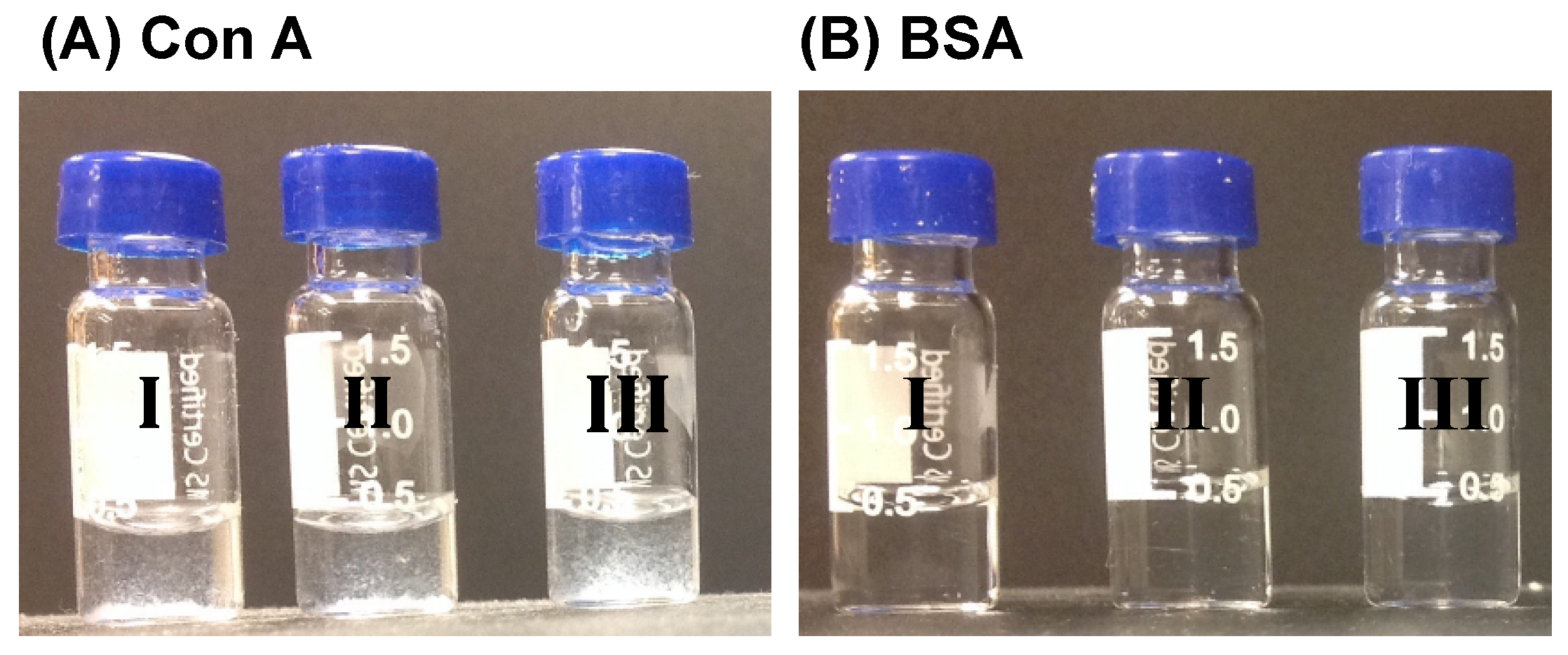 Molecules 28 04031 g002