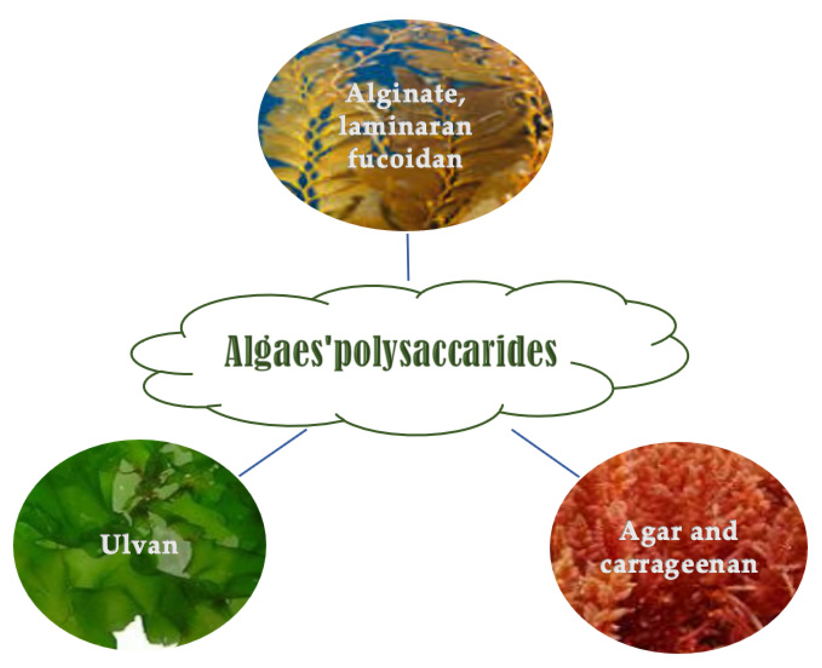 Molecules 28 04032 g002 Molecules 28 04032 g002