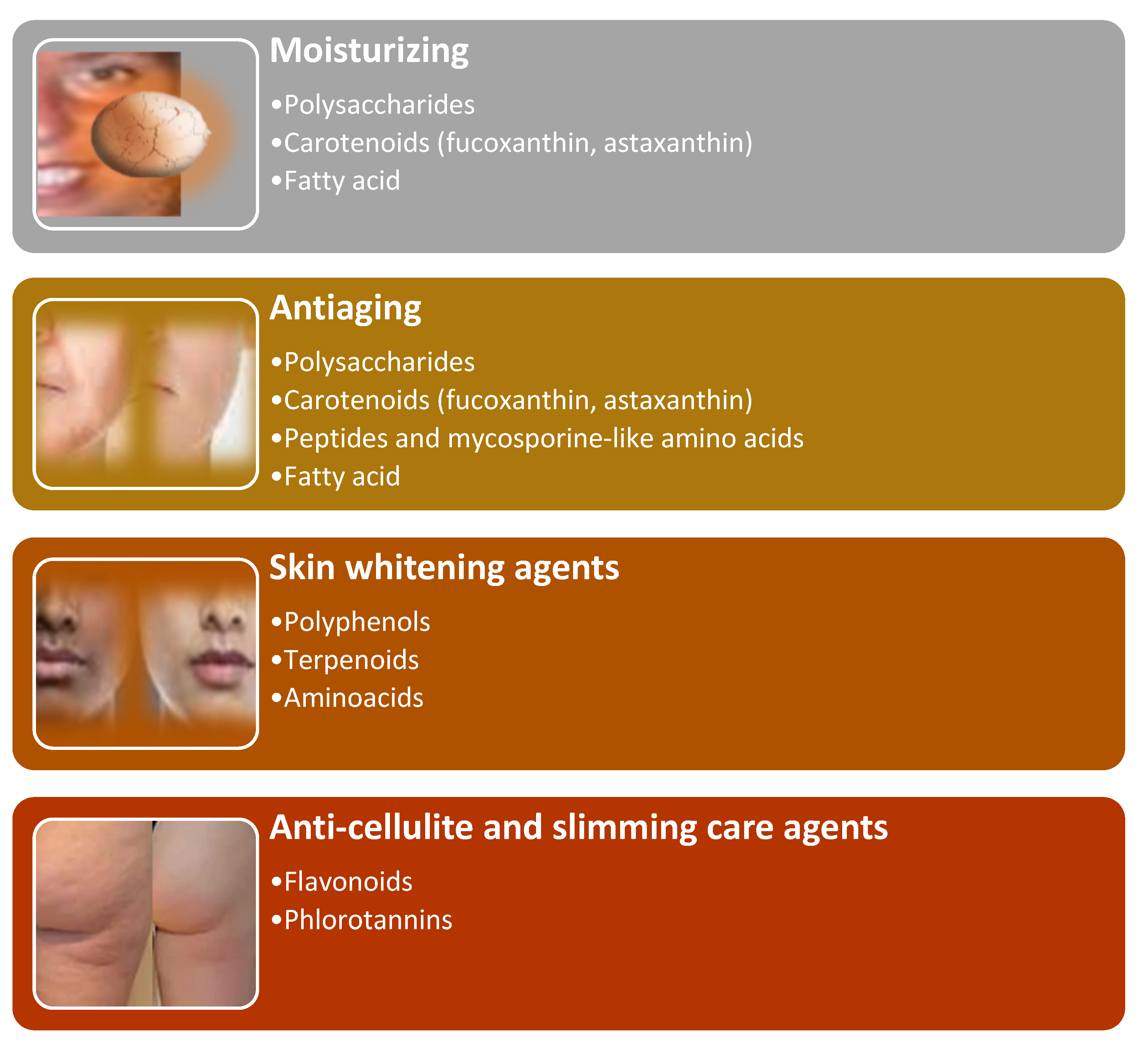 Molecules 28 04032 g008 Molecules 28 04032 g008