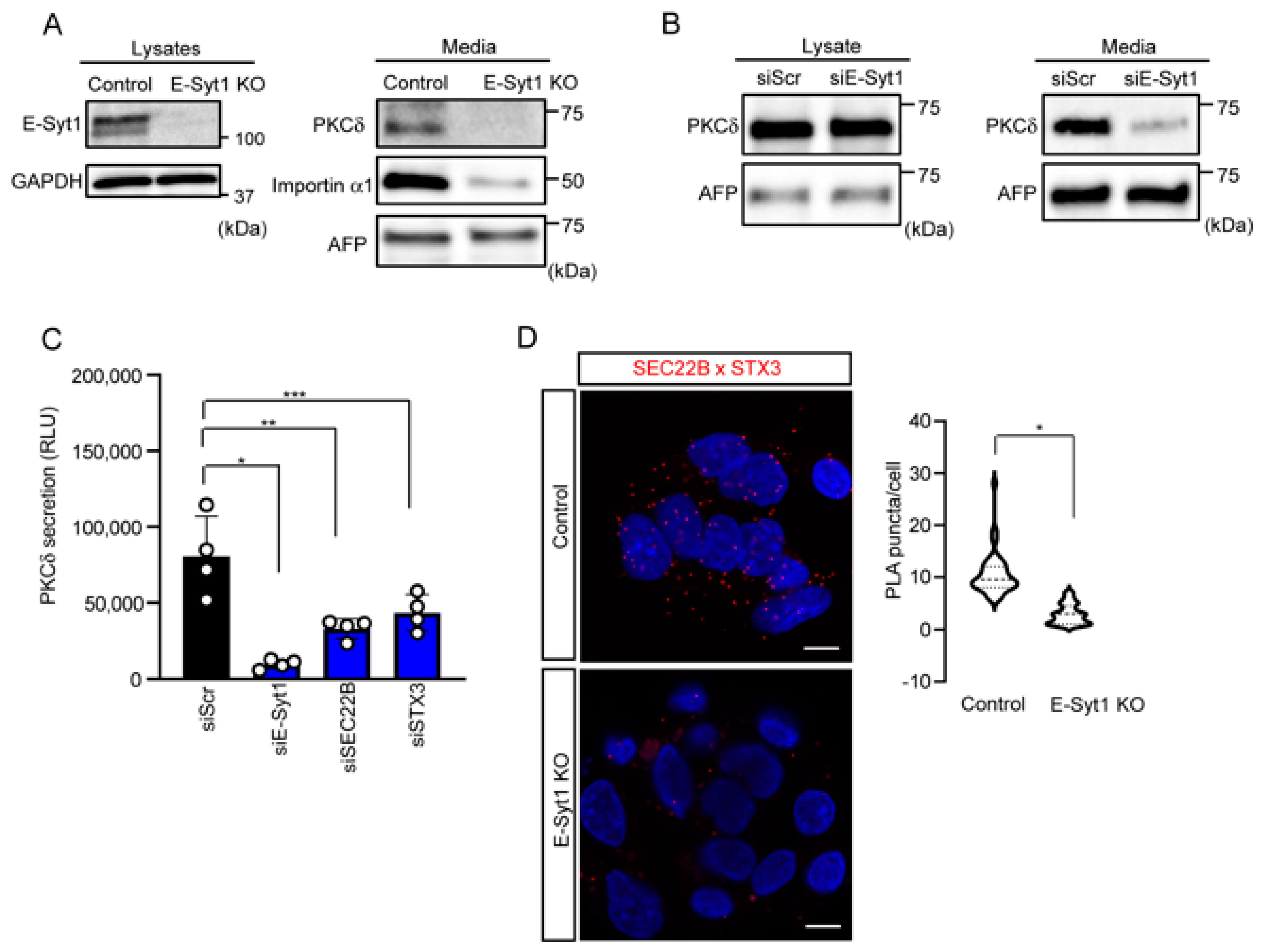 Molecules 28 04033 g002 Molecules 28 04033 g002