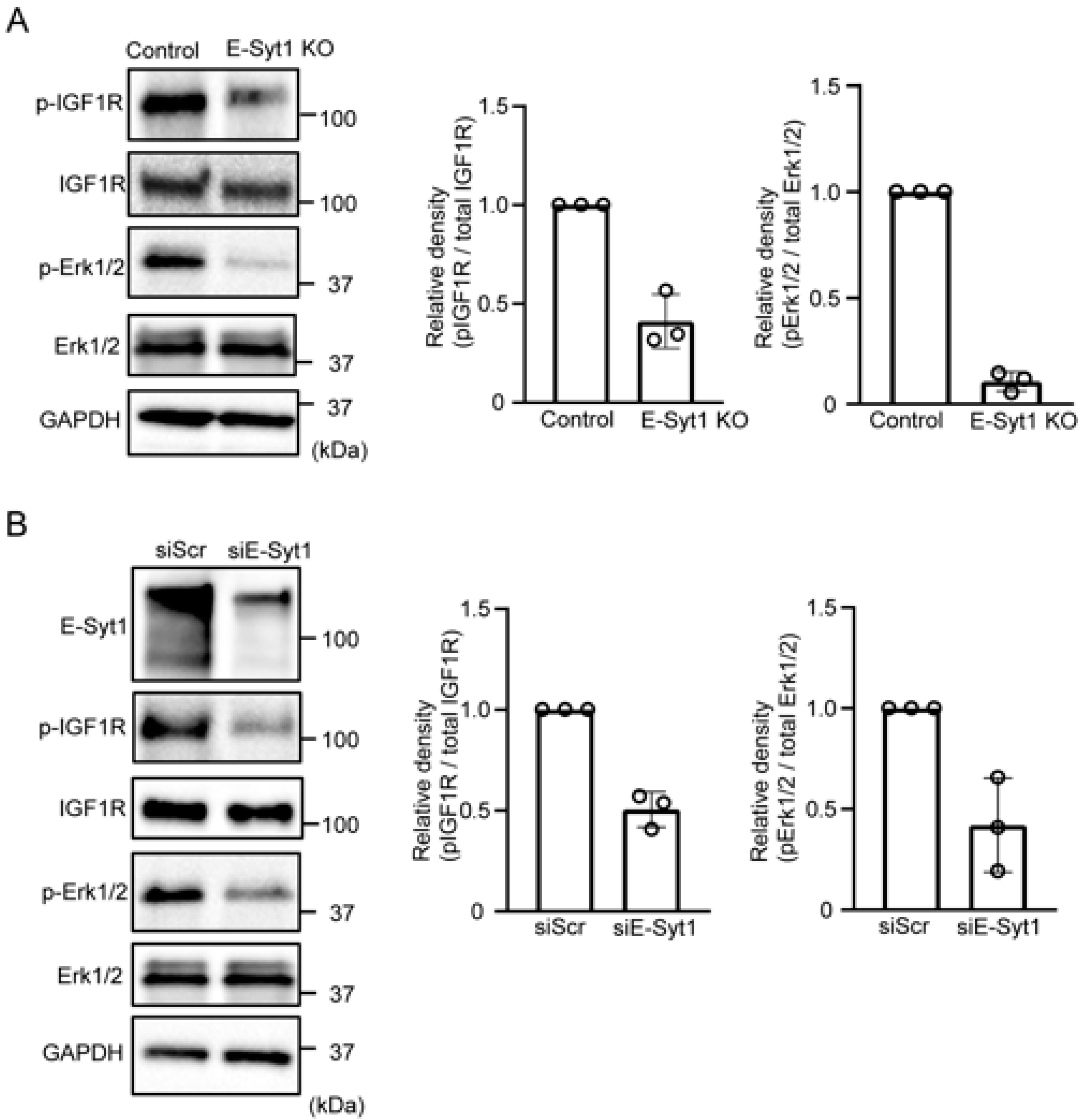 Molecules 28 04033 g004 Molecules 28 04033 g004