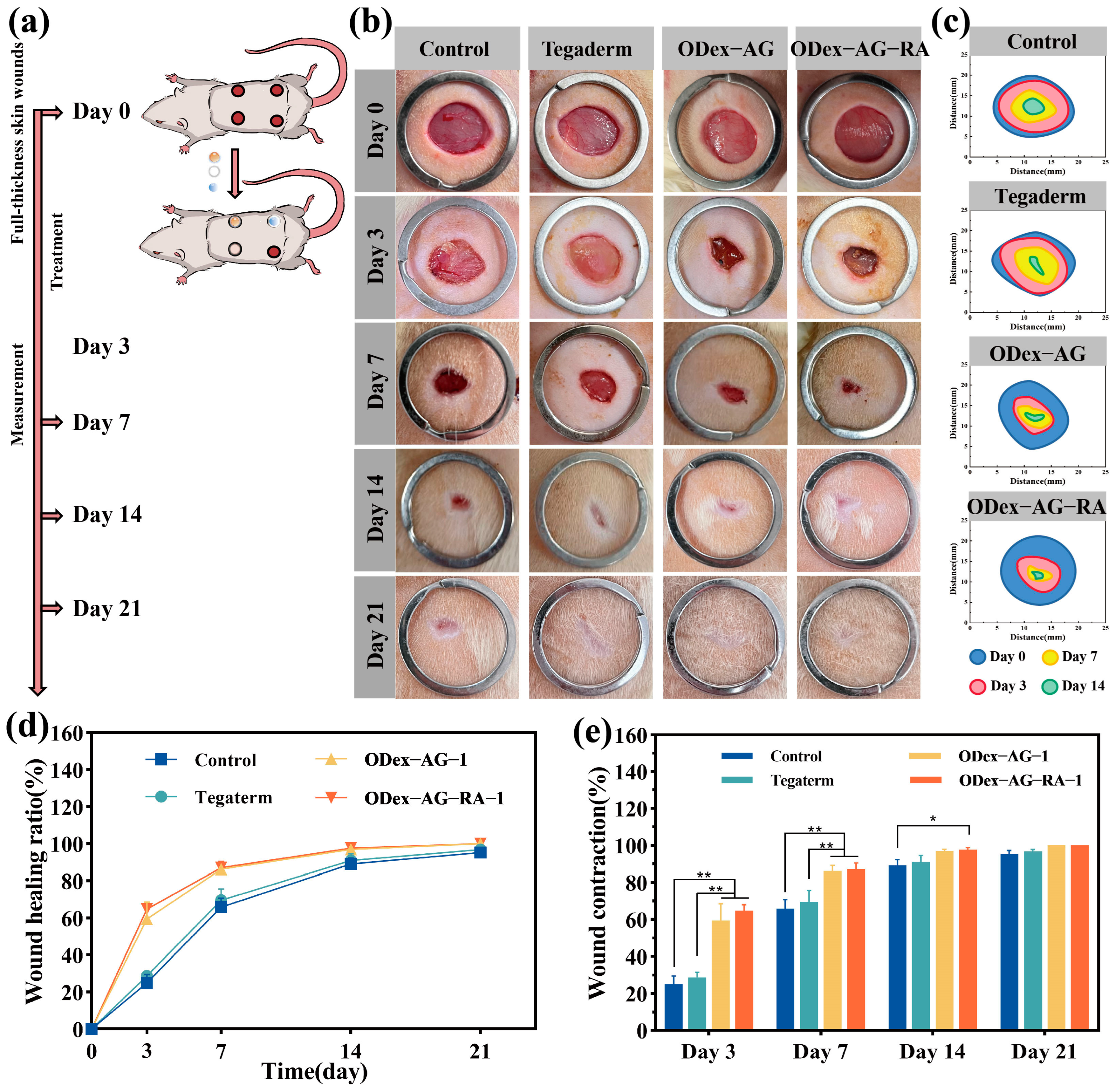 Molecules 28 04034 g006 Molecules 28 04034 g006