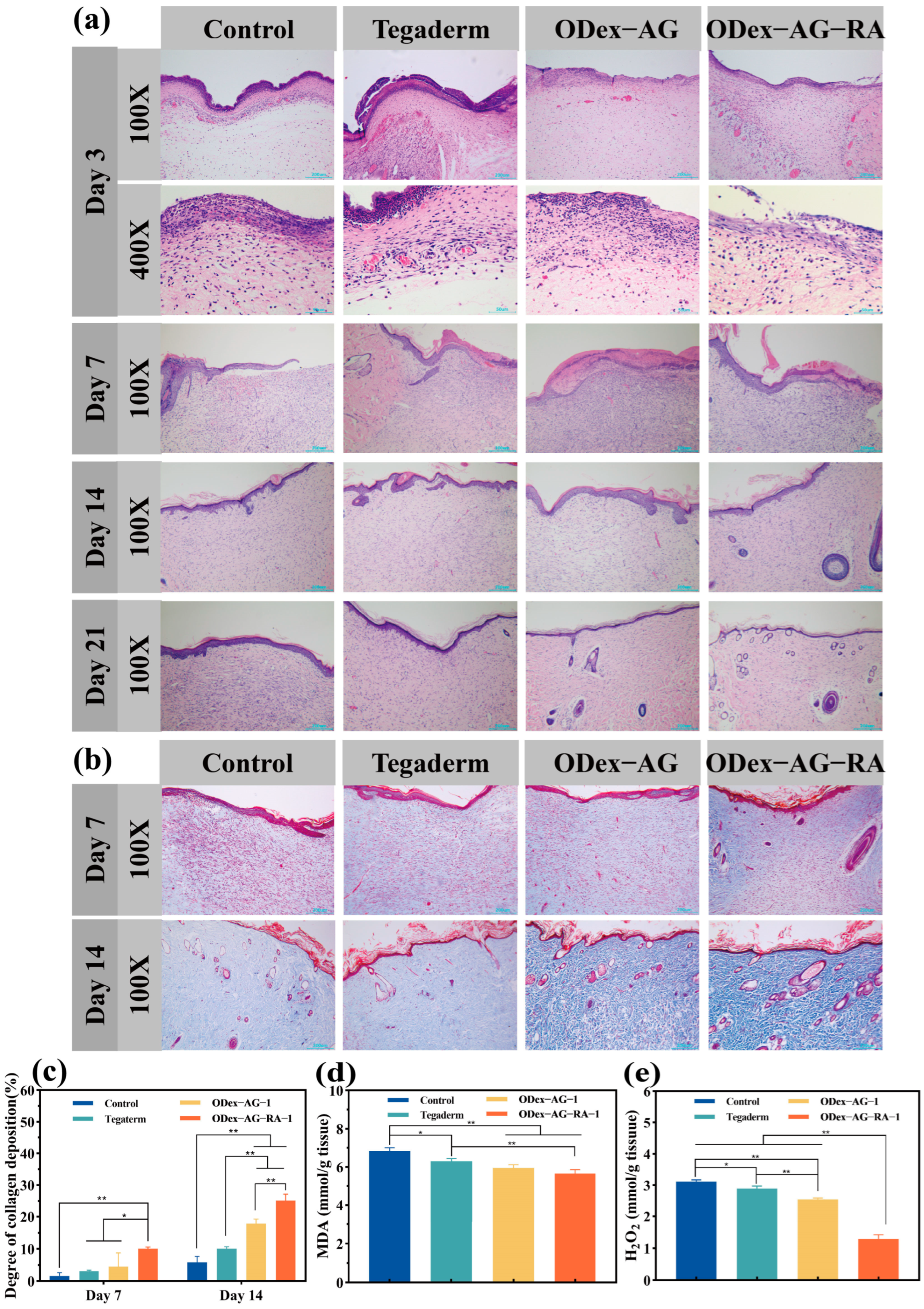 Molecules 28 04034 g007 Molecules 28 04034 g007