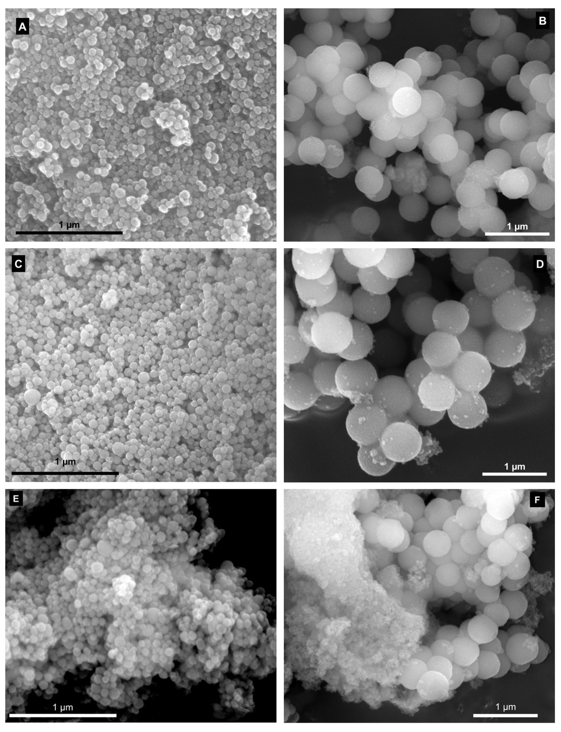 Molecules 28 04038 g002 Molecules 28 04038 g002
