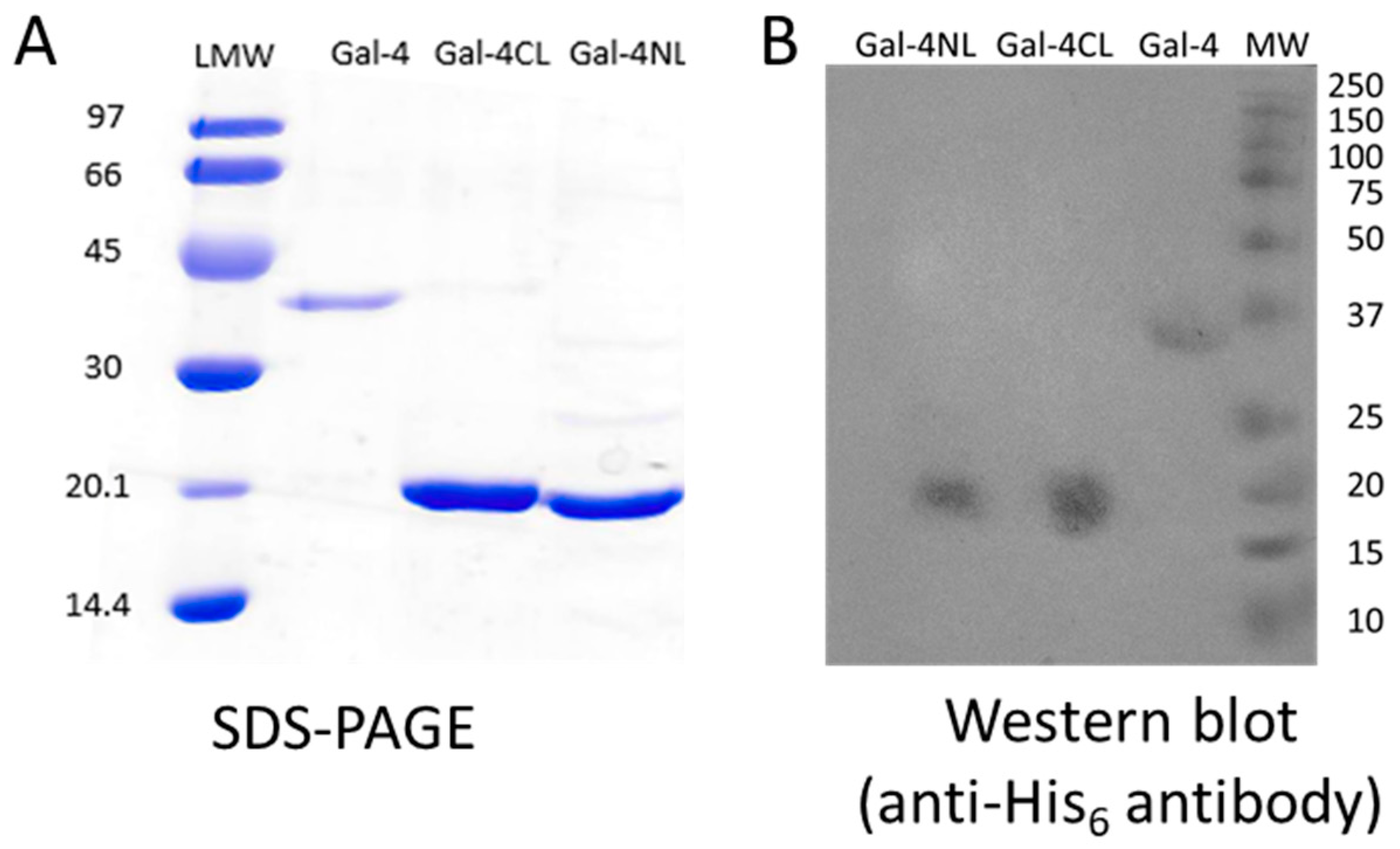Molecules 28 04039 g001