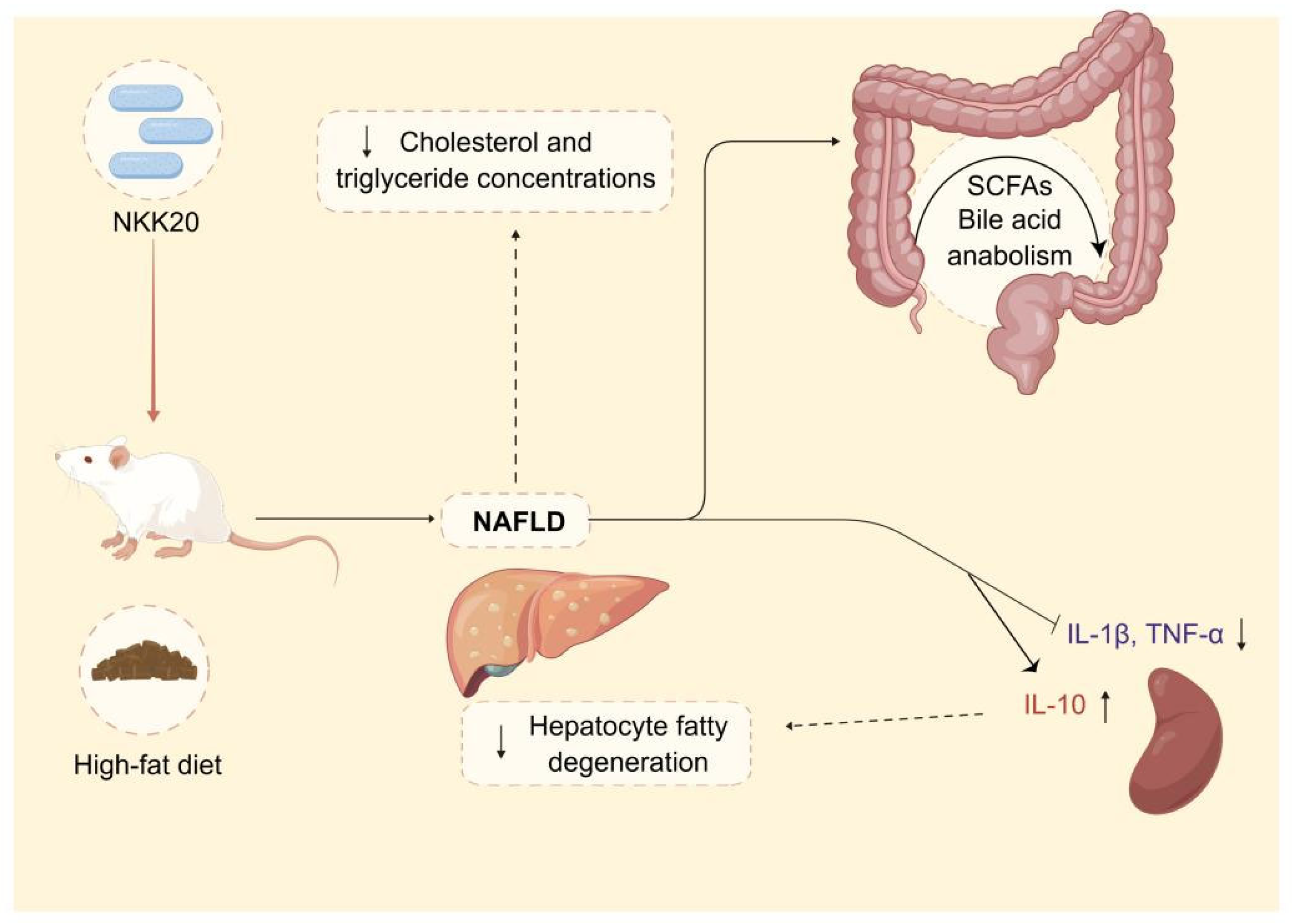 Molecules 28 04042 g008