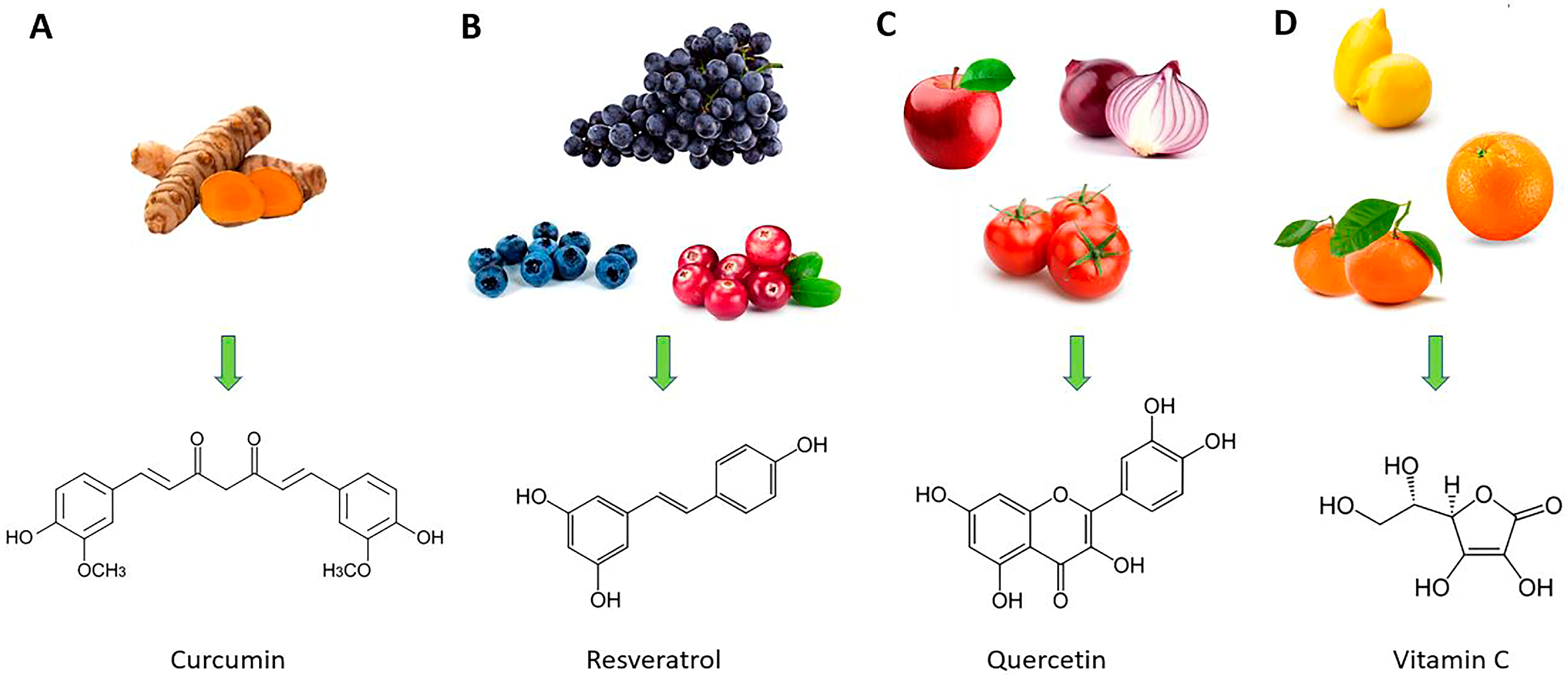 Molecules 28 04045 g003 Molecules 28 04045 g003
