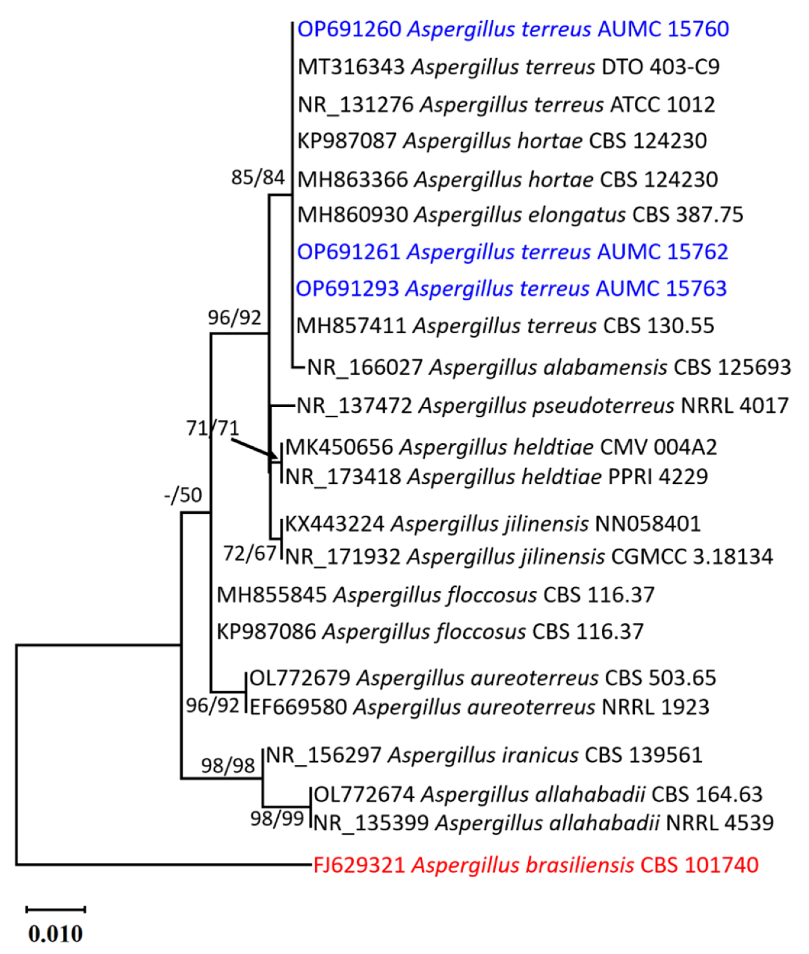 Molecules 28 04048 g002 Molecules 28 04048 g002