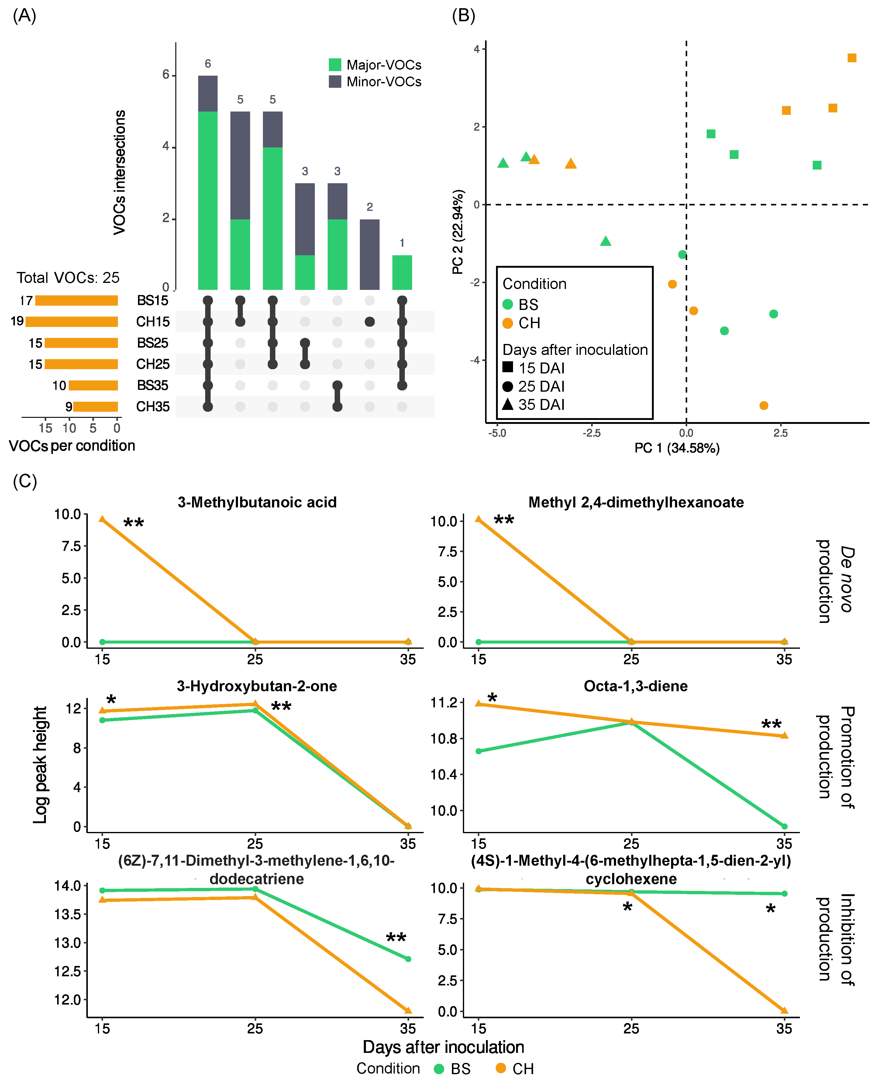 Molecules 28 04053 g001