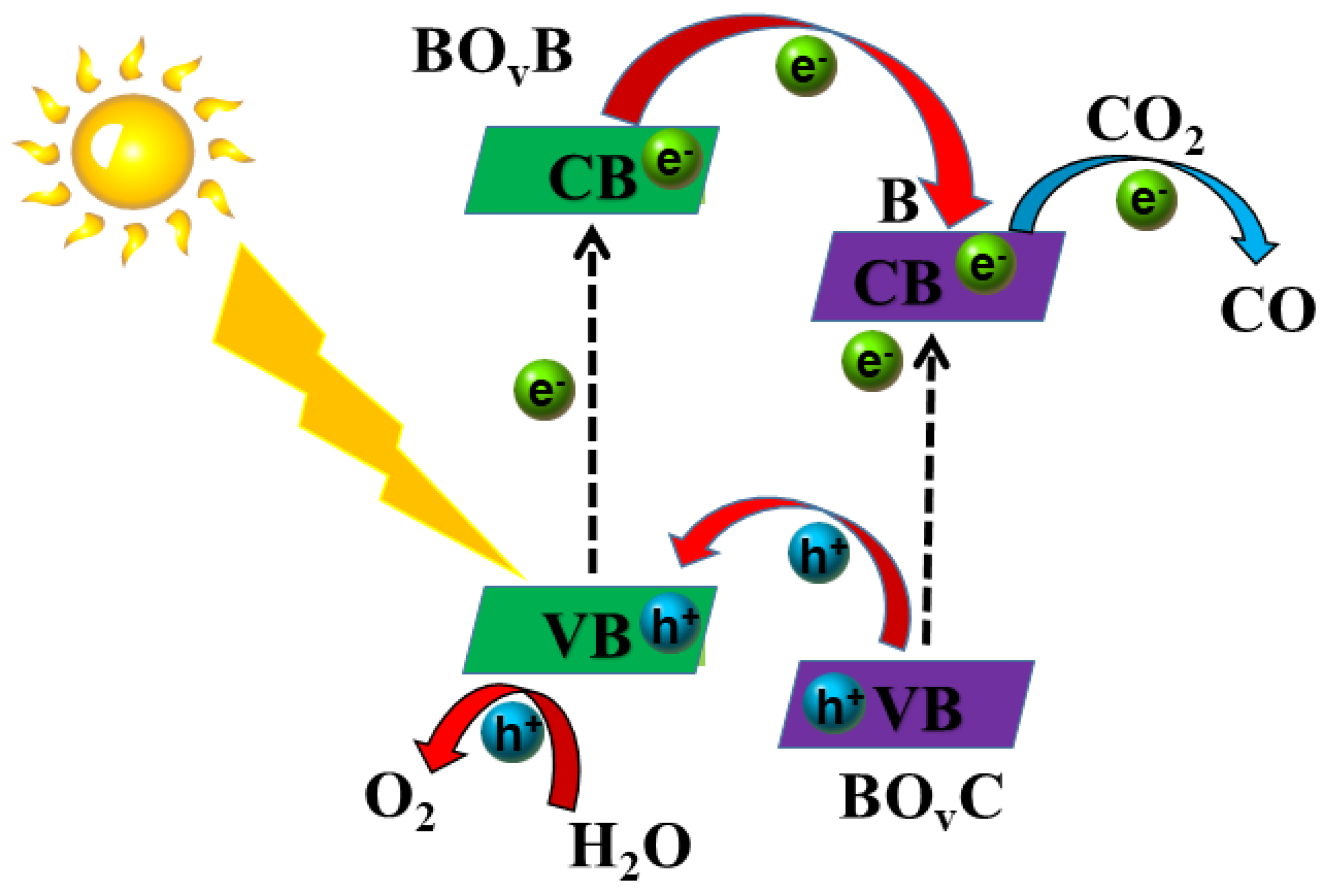 Molecules 28 04057 g008