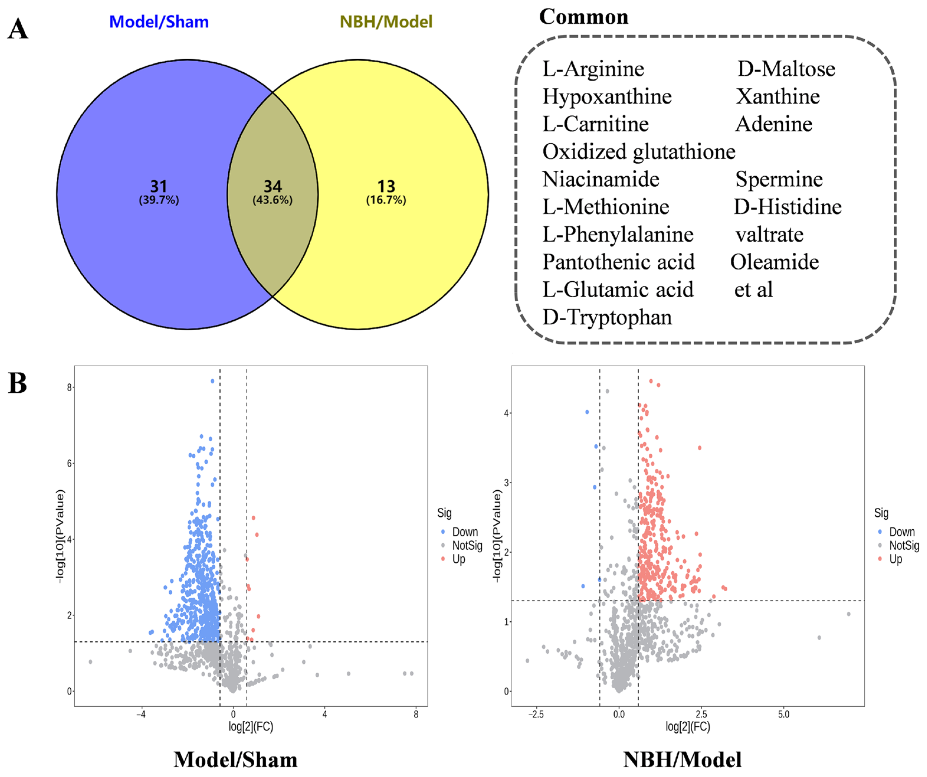 Molecules 28 04064 g005 Molecules 28 04064 g005