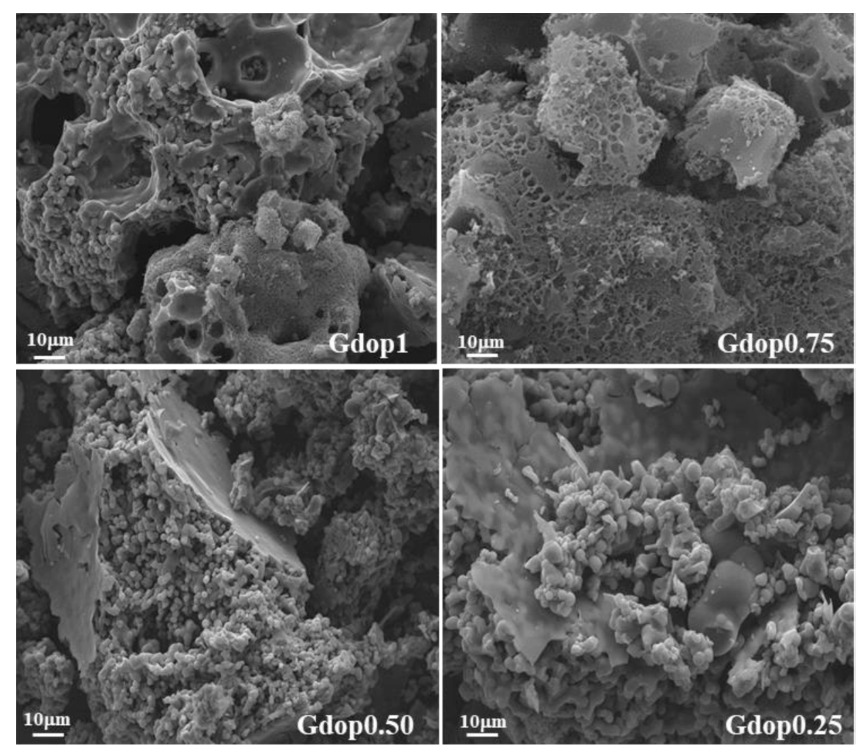 Molecules 28 04071 g003 Molecules 28 04071 g003