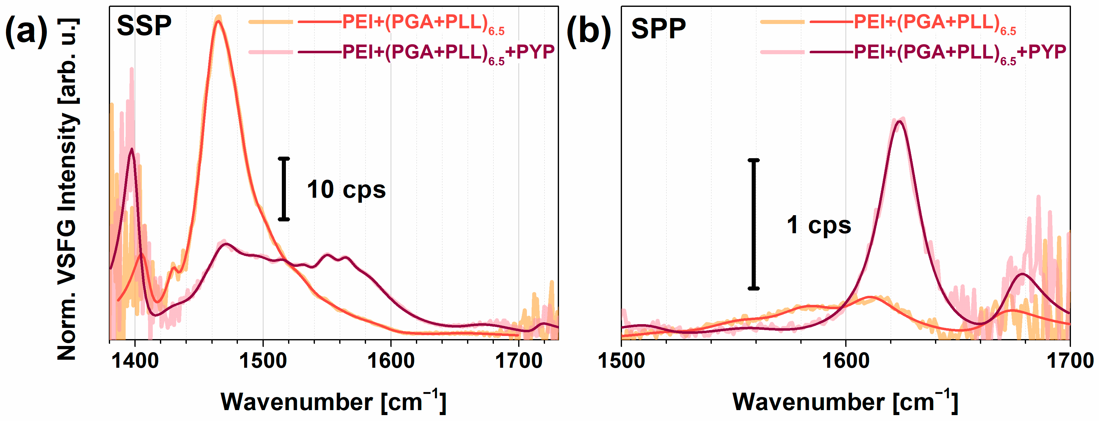 Molecules 28 04077 g004 Molecules 28 04077 g004