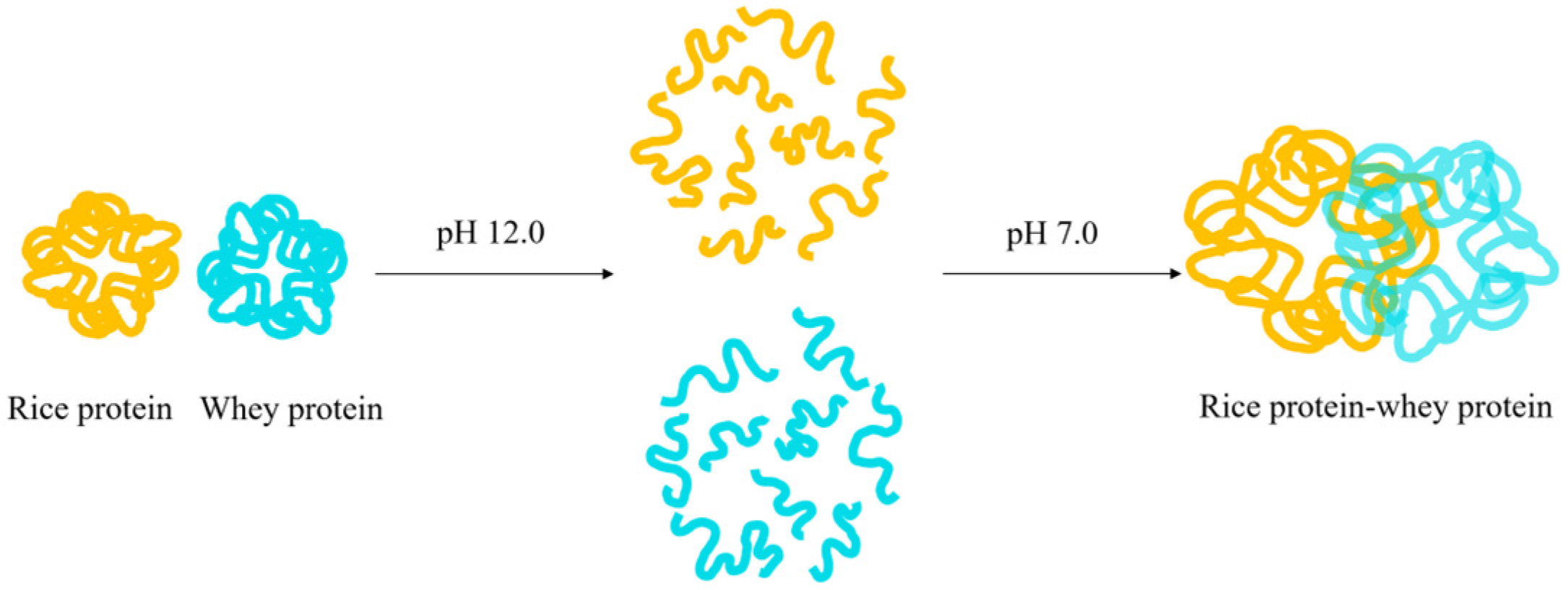 Molecules 28 04078 g004