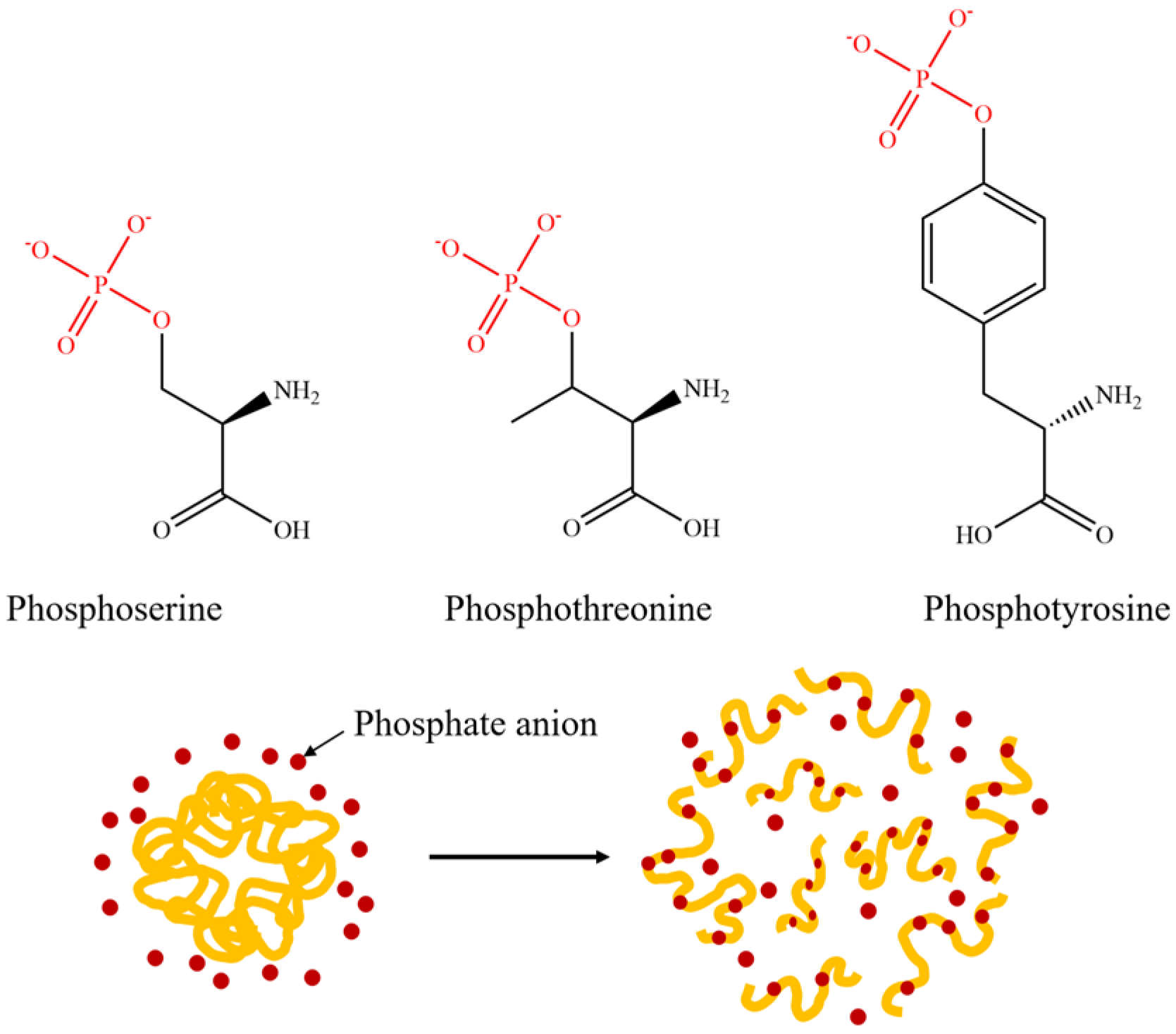 Molecules 28 04078 g005