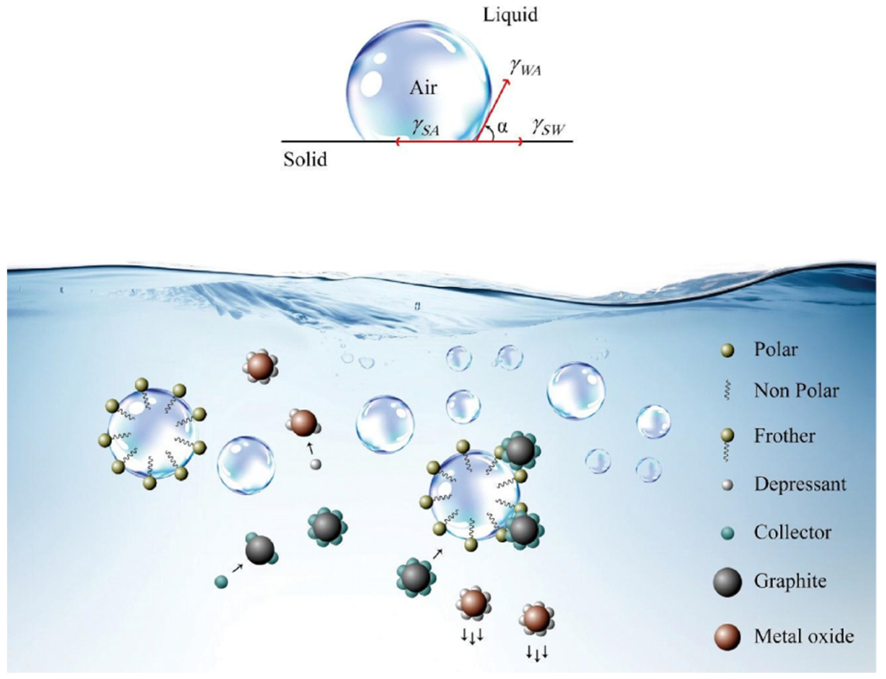 Molecules 28 04081 g001 Molecules 28 04081 g001