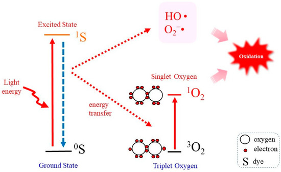 Molecules | Free Full-Text | Biological Action of Singlet Molecular ...