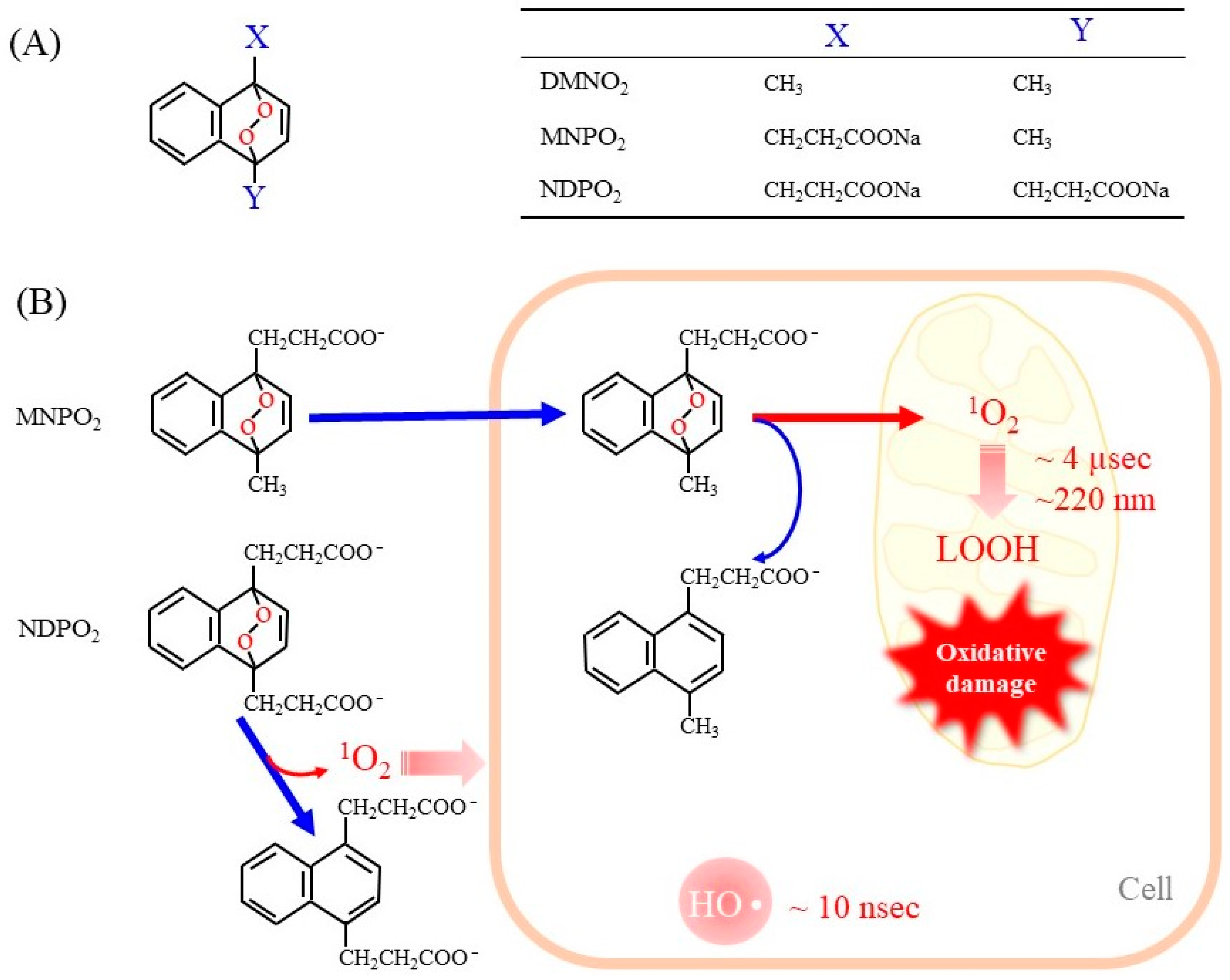 Molecules 28 04085 g002 Molecules 28 04085 g002