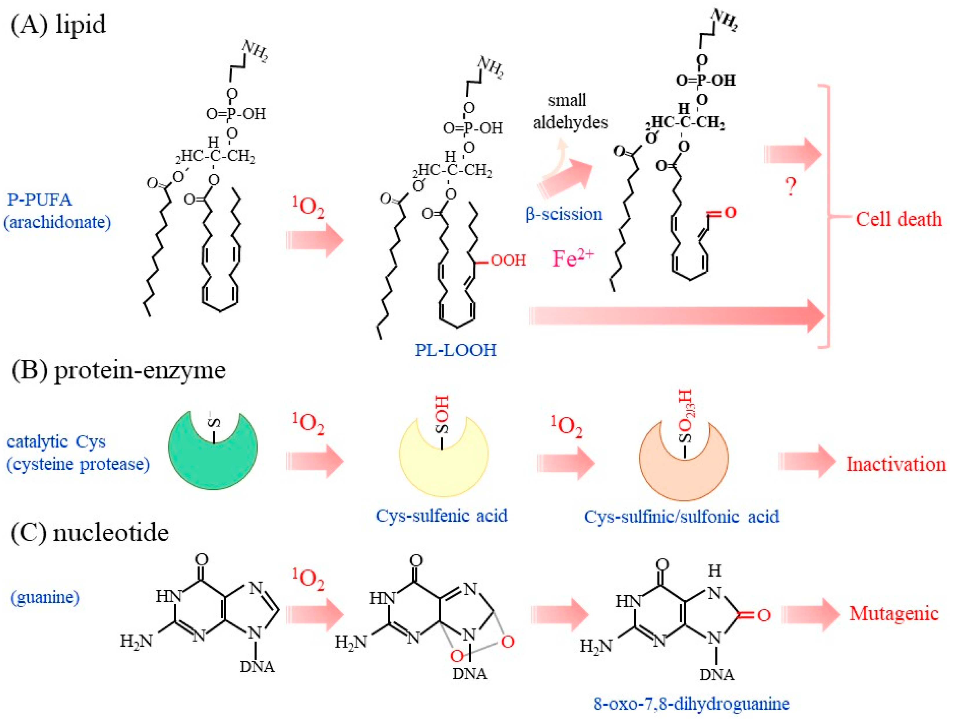 Molecules 28 04085 g003 Molecules 28 04085 g003