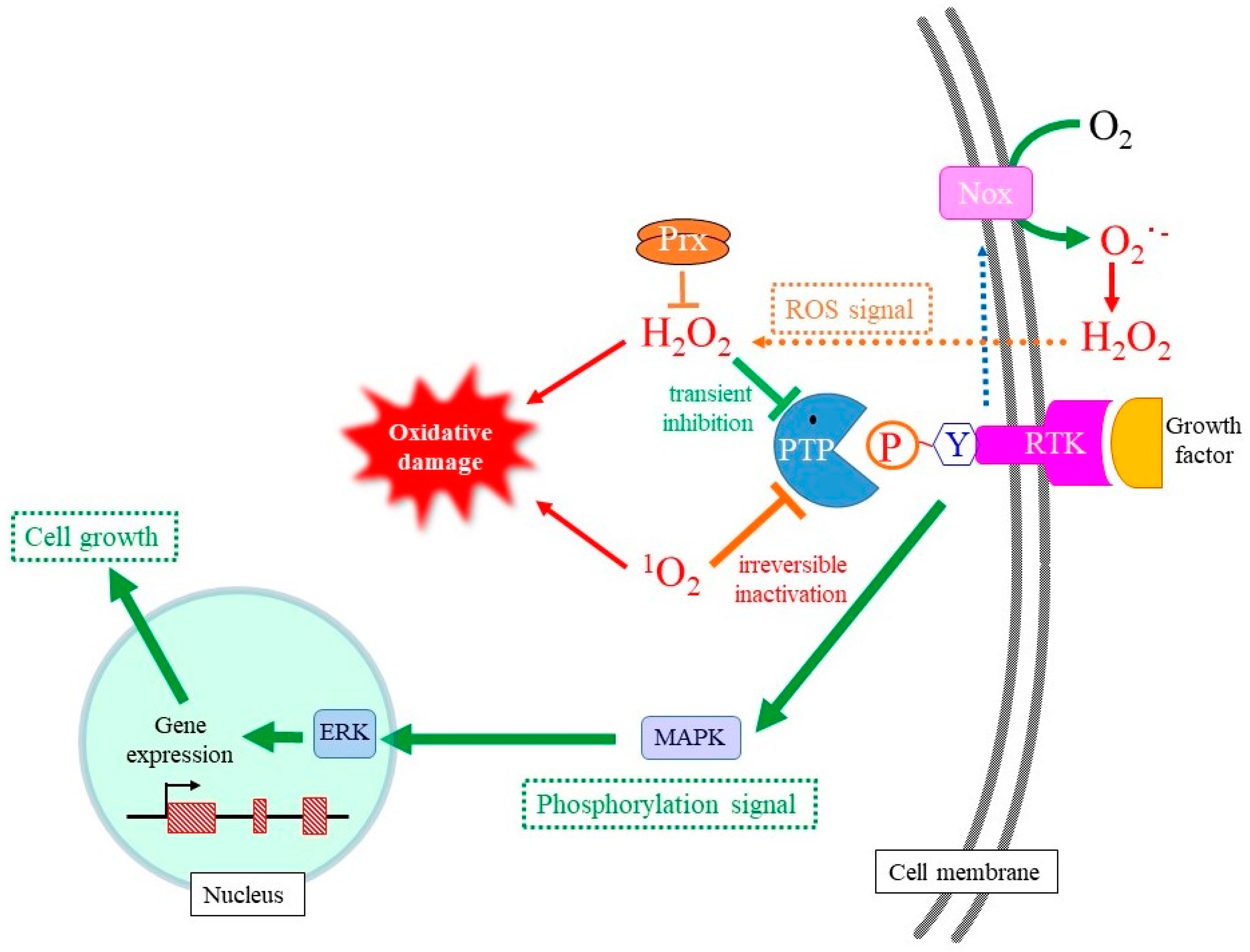 Molecules 28 04085 g004 Molecules 28 04085 g004