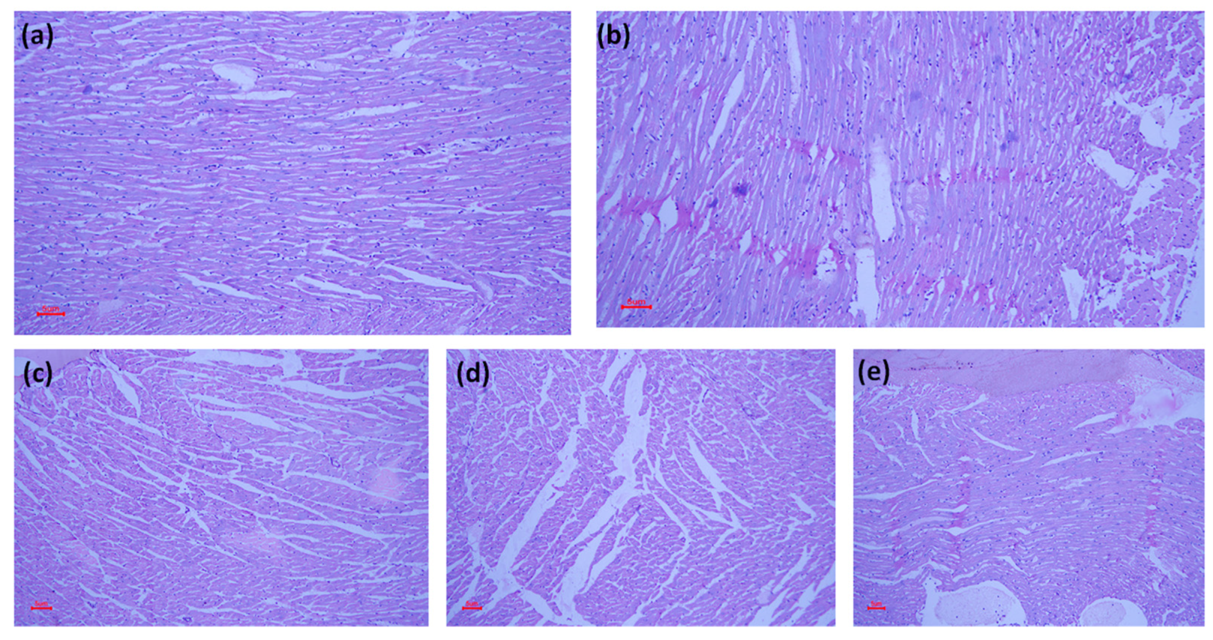 Molecules 28 04089 g004 Molecules 28 04089 g004