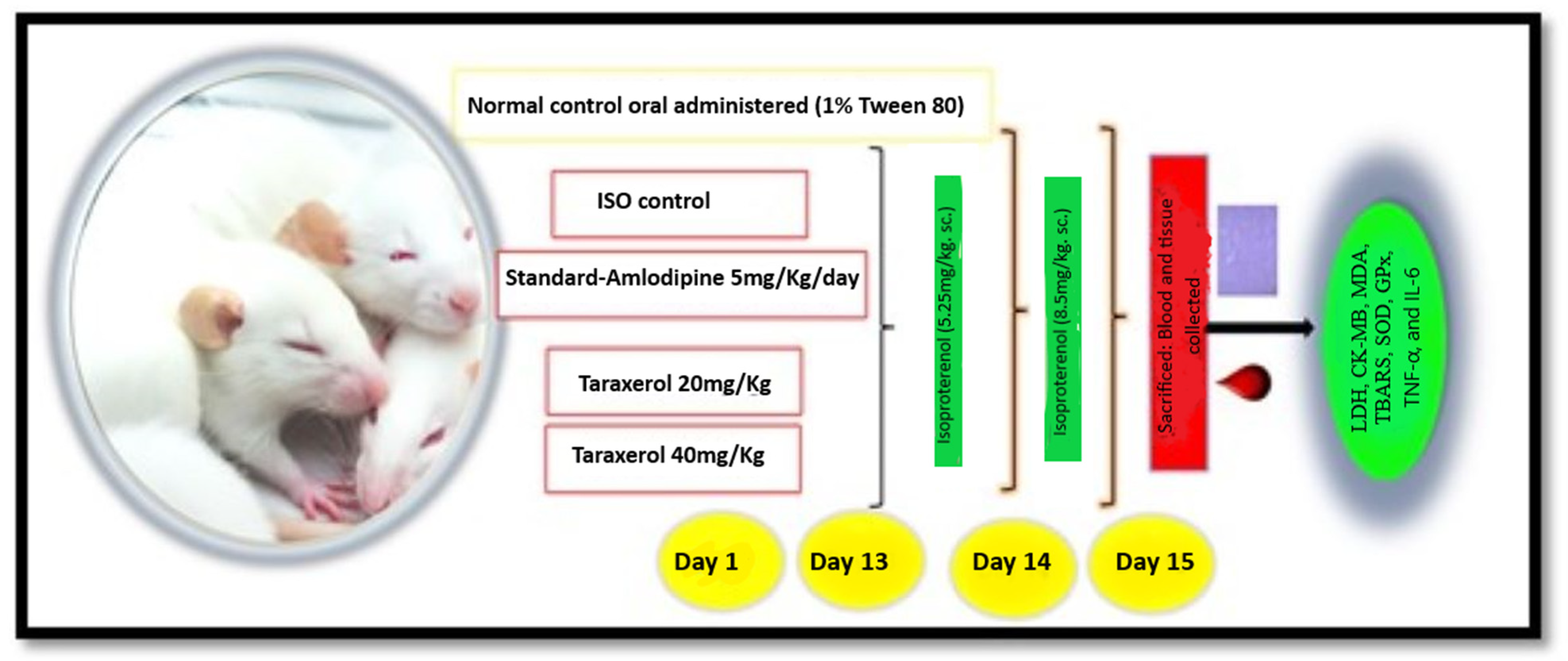 Molecules 28 04089 sch001 Molecules 28 04089 sch001