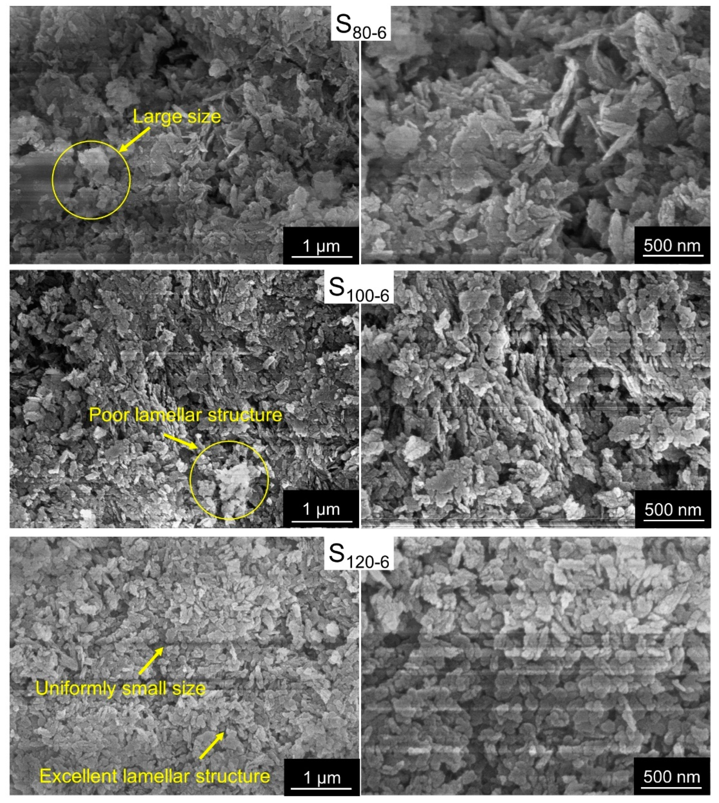 Molecules 28 04093 g004 Molecules 28 04093 g004